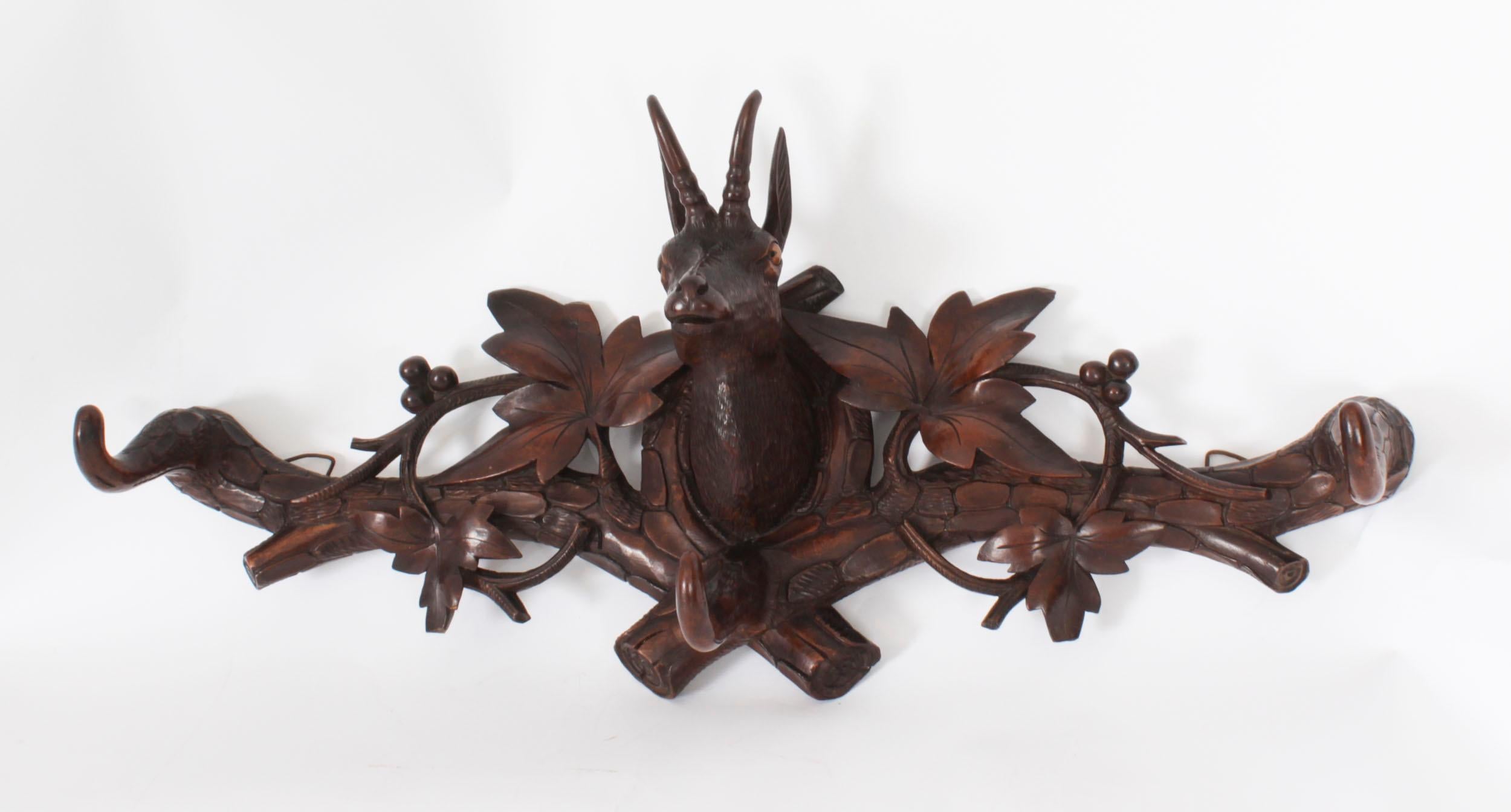 Late 19th Century Antique Hand Carved Black Forest Deer's Head Hat & Coat Rack 19th Century For Sale