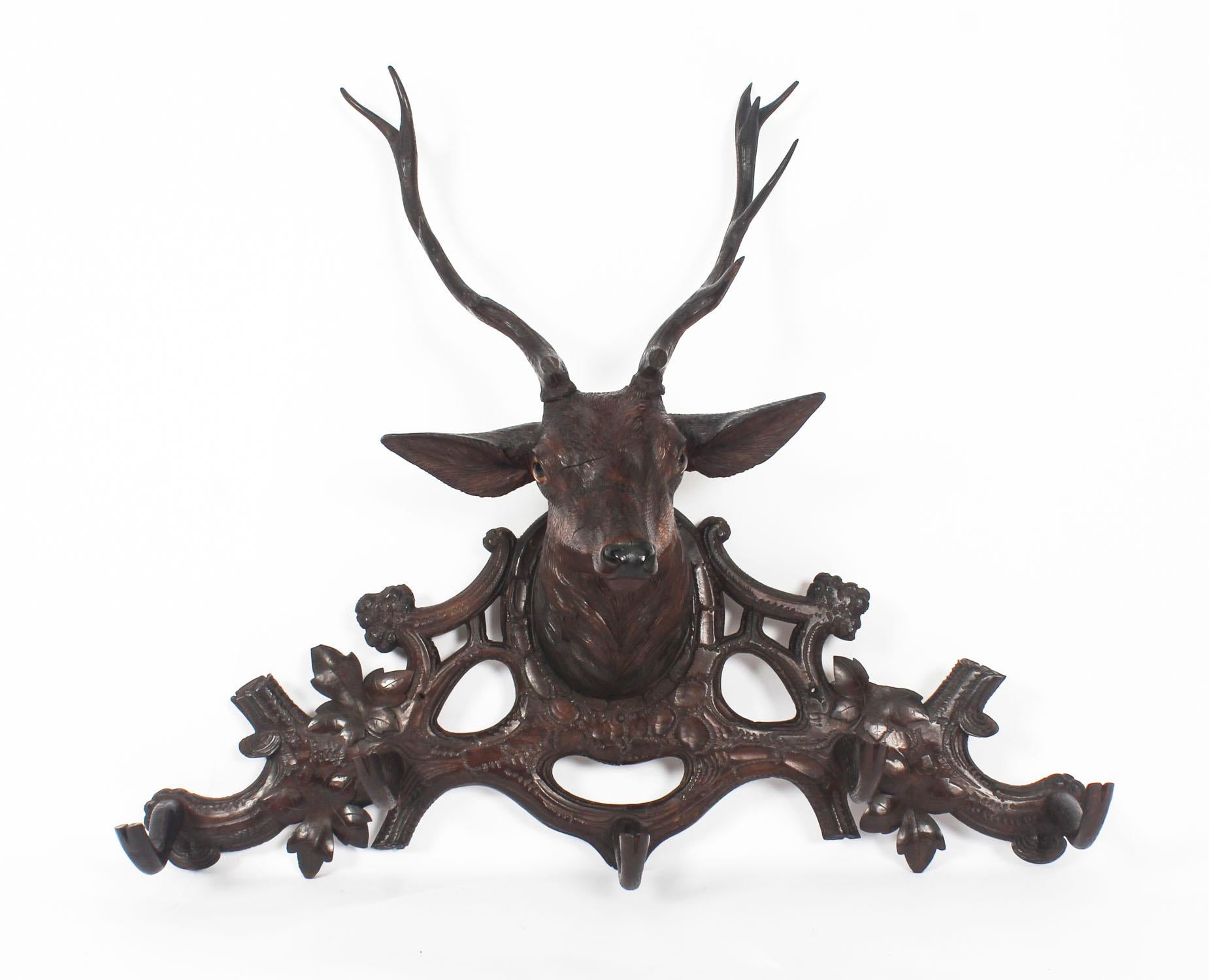 This is a stunning and rare late 19th century Black Forest carved stag's head coat rack with glass eyes and with branch and leaf decoration.

This gorgeous antique was painstakingly hand-carved from Black Forest linden wood.

Condition:
In