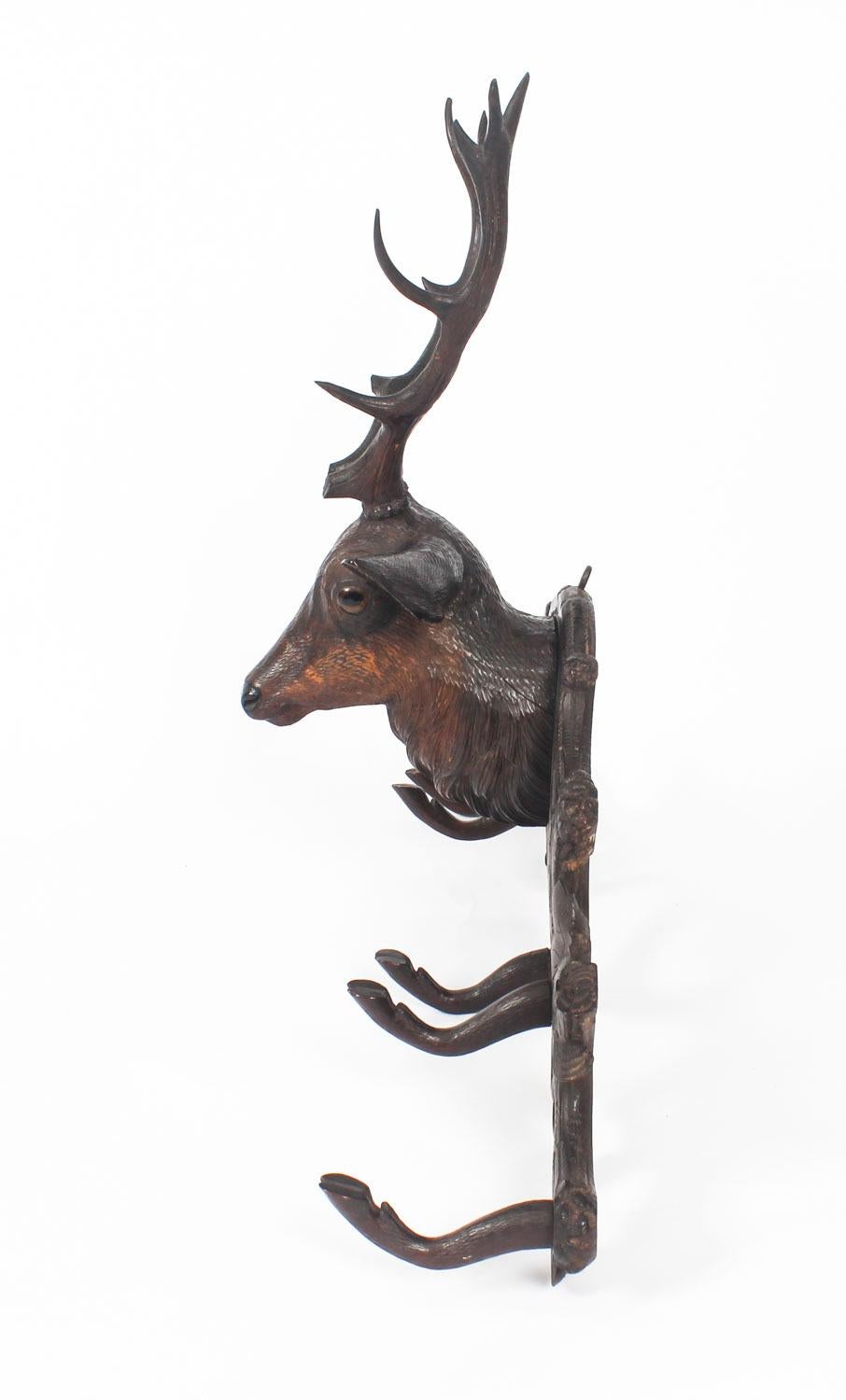 Hand-Carved Antique Hand Carved Black Forest Stag's Head Coat Rack 19th Century