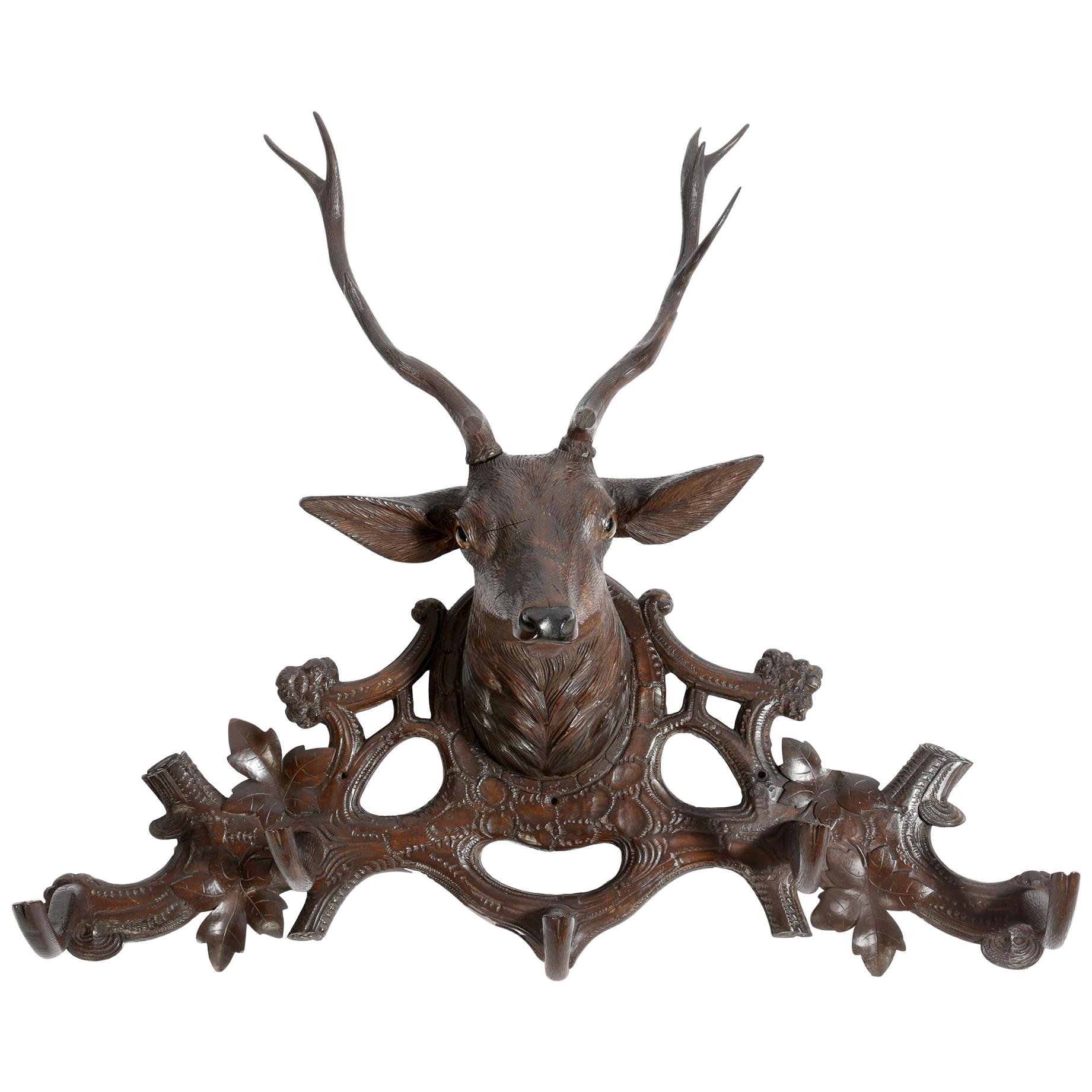 Antique Hand Carved Black Forest Stag's Head Coat Rack 19th Century