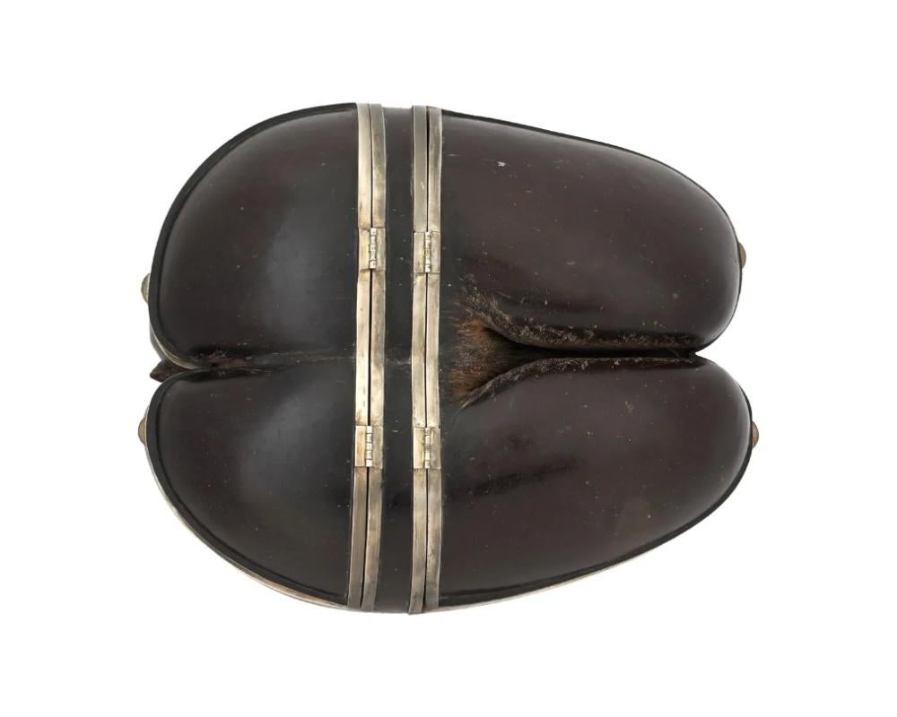 20th Century Antique Hand Carved Coco De Mer Silver Mount Nut Box
