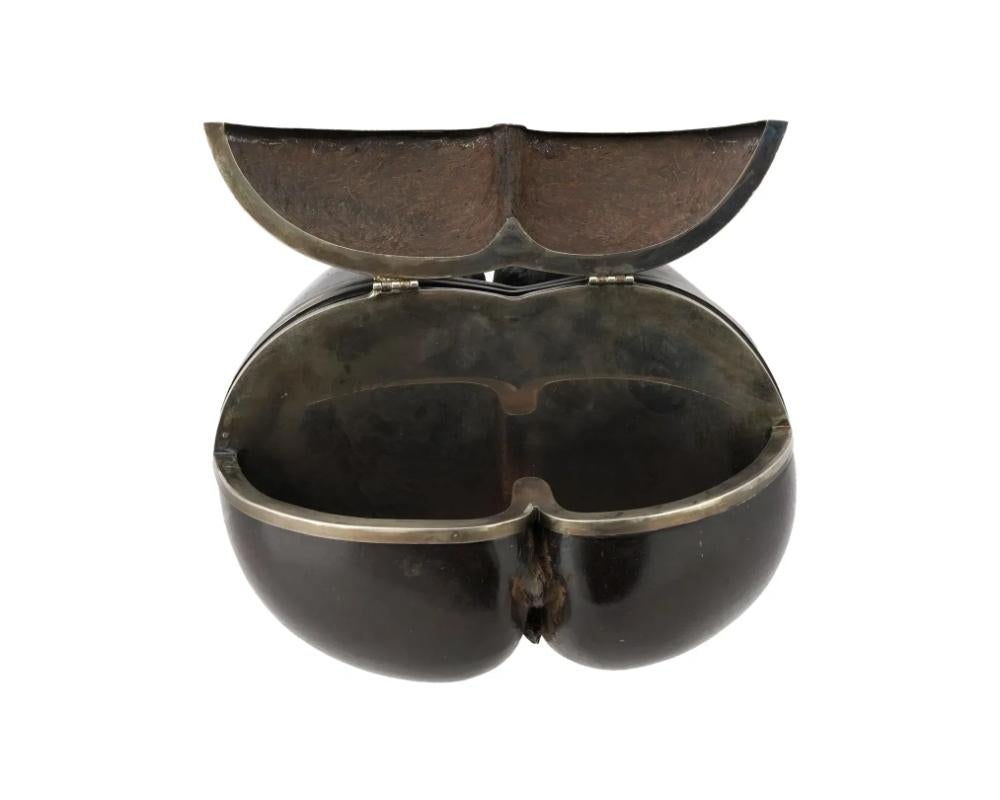 Antique Hand Carved Coco De Mer Silver Mount Nut Box 2