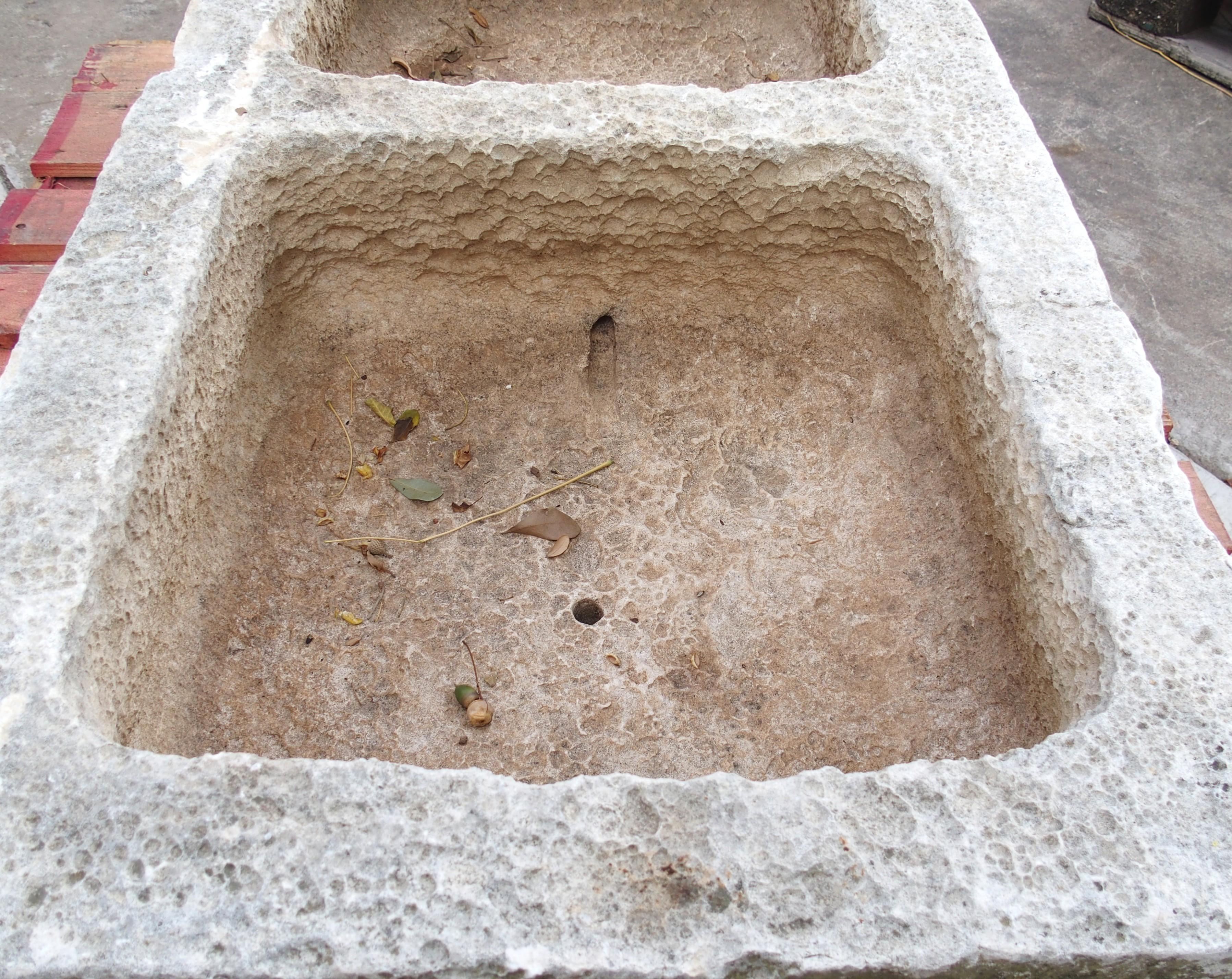 Antique Hand Carved Double Basin Trough Sink from France, 19th Century For Sale 7