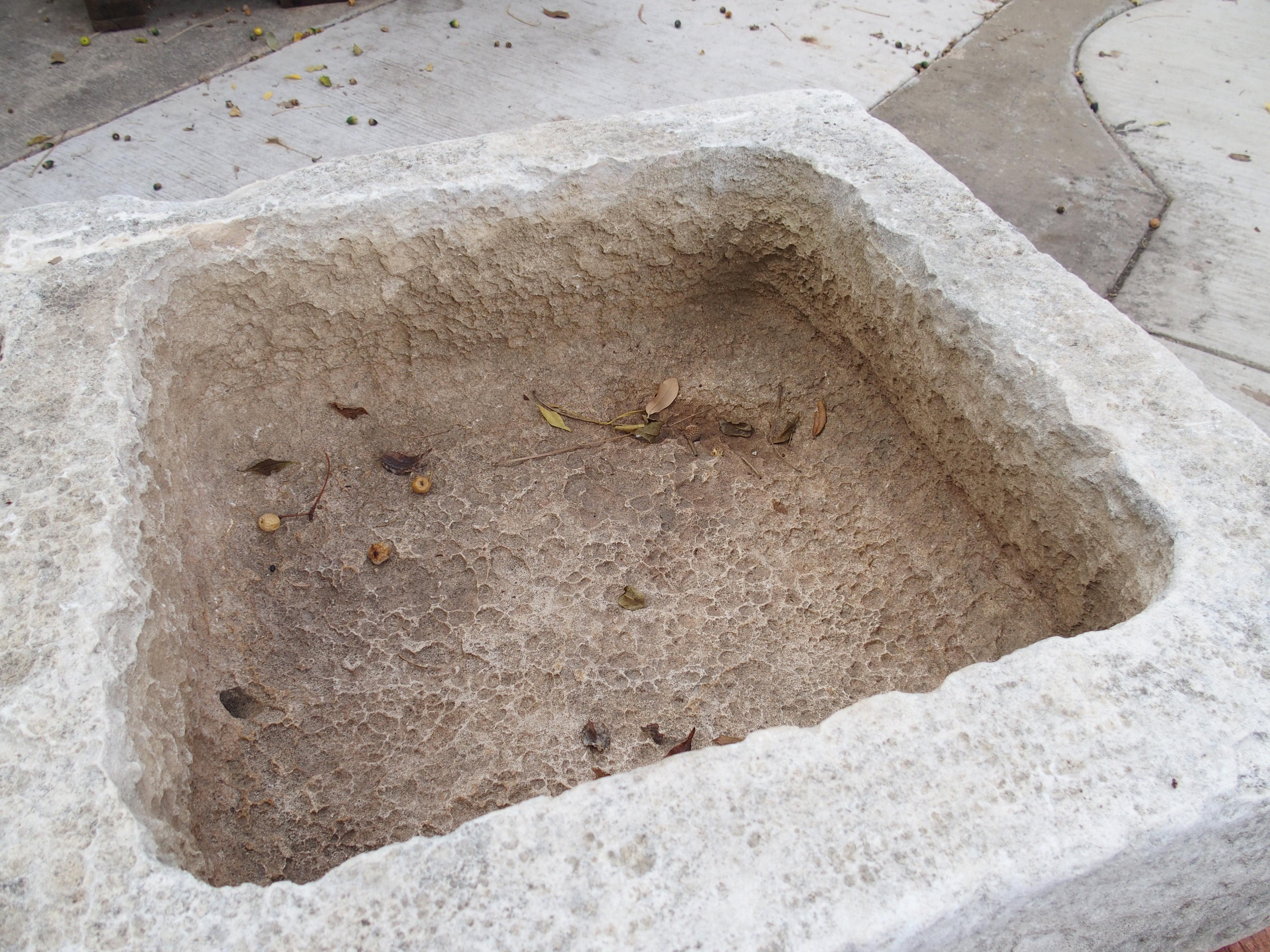 Antique Hand Carved Double Basin Trough Sink from France, 19th Century For Sale 10