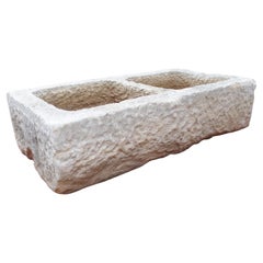 Antique Hand Carved Double Basin Trough Sink from France, 19th Century