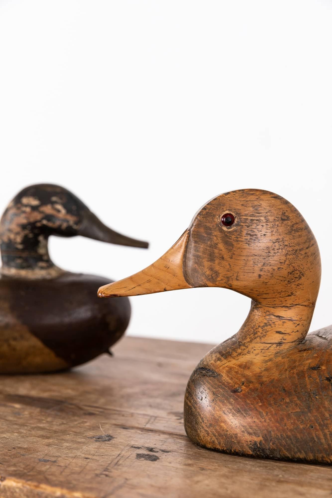 Fait main Arte Antiques Art Carved Mallard Duck Decoys, C.C. 1920 en vente