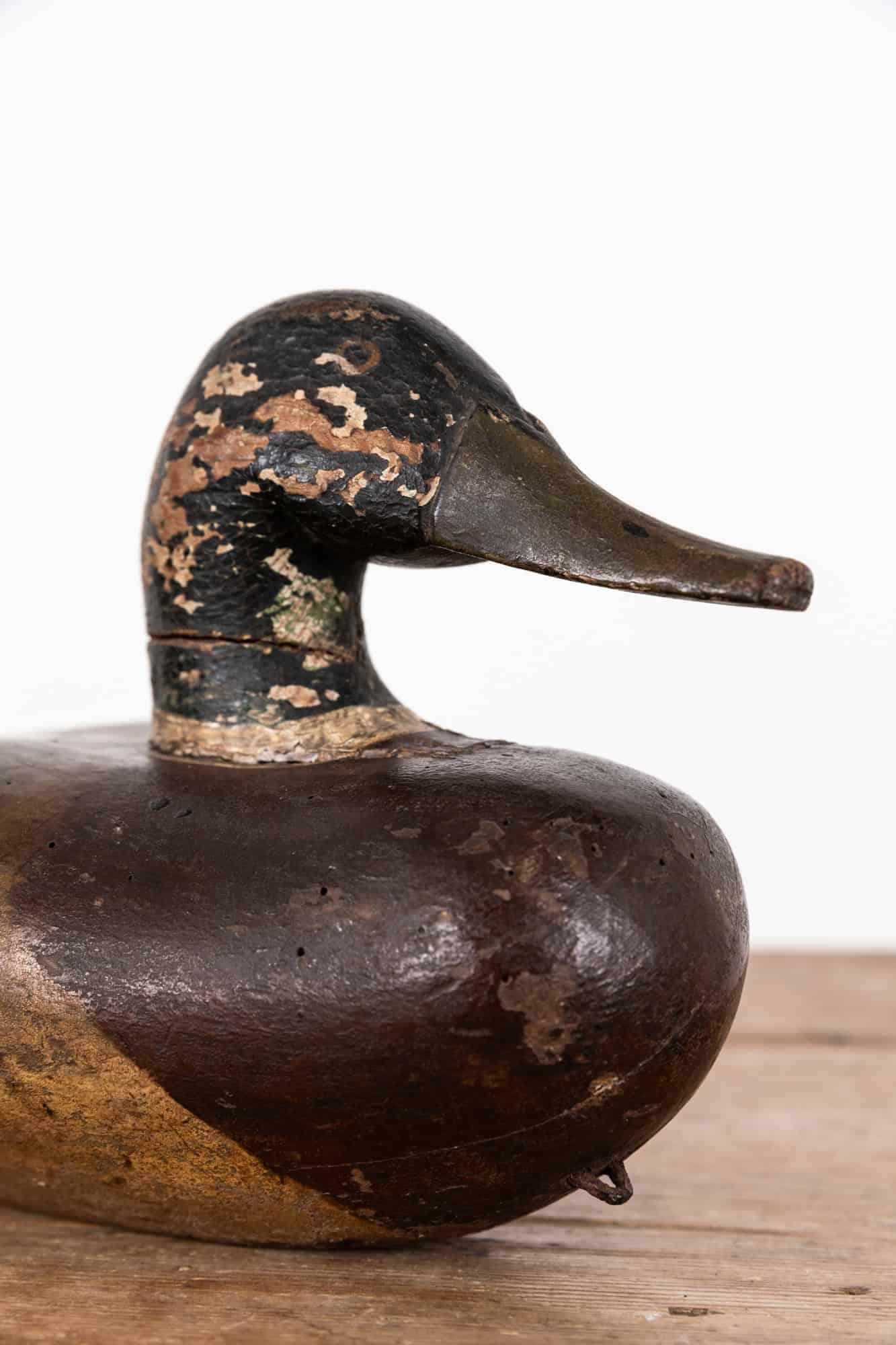 20ième siècle Arte Antiques Art Carved Mallard Duck Decoys, C.C. 1920 en vente