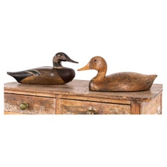 Antique Hand Carved Folk Art Mallard Duck Decoys, C.1920