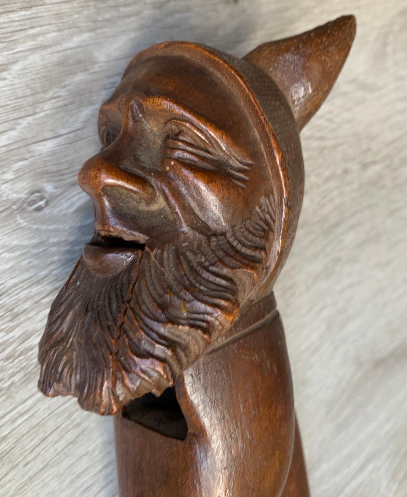 Antike Hand geschnitzt und Mint Condition Black Forest Gnome Skulptur Nussknacker im Angebot 5