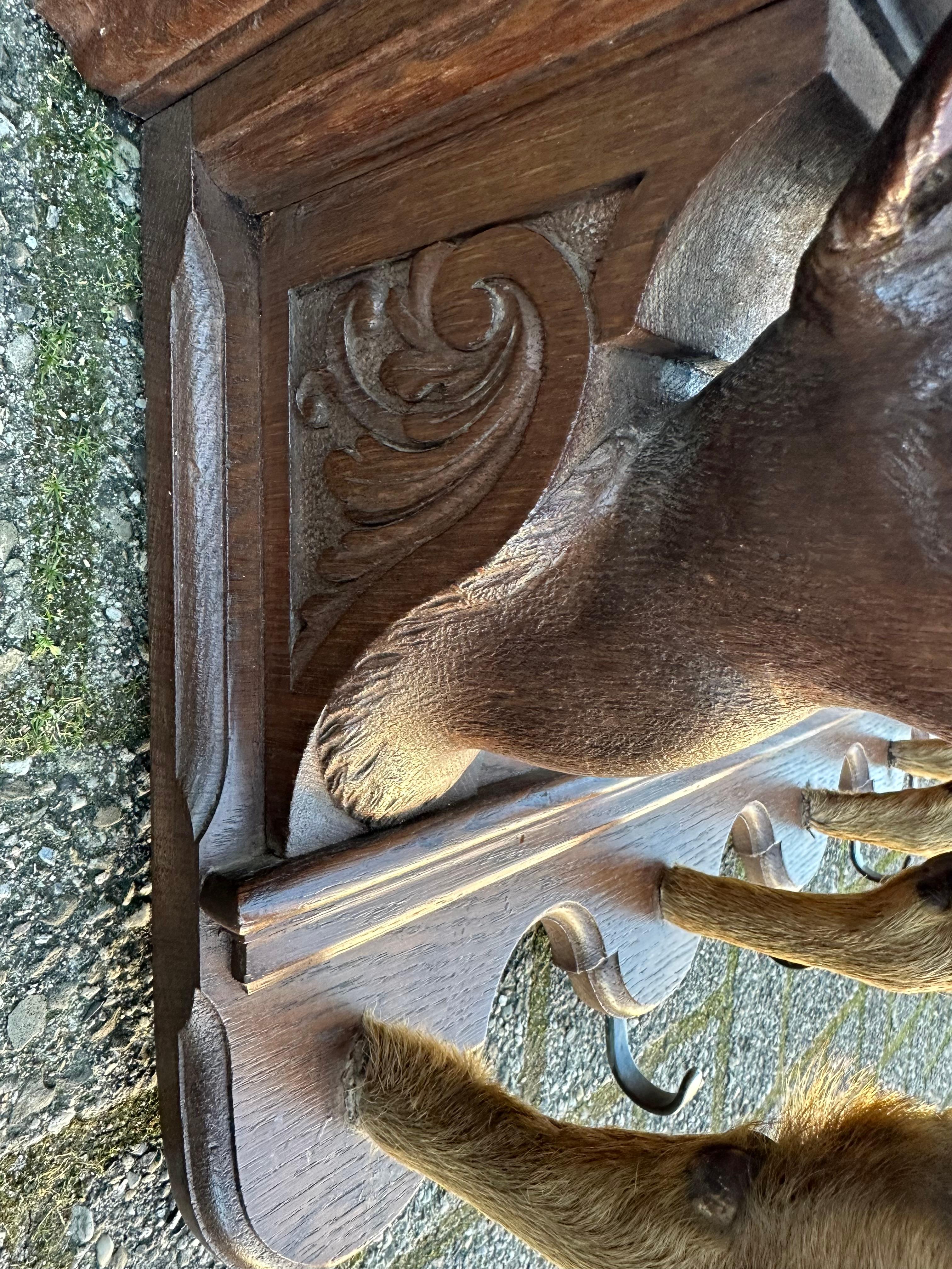 Sculpté à la main Porte-manteau mural ancien en bois d'Oak sculpté à la main avec des sculptures de tête de cerf circa 1890 en vente