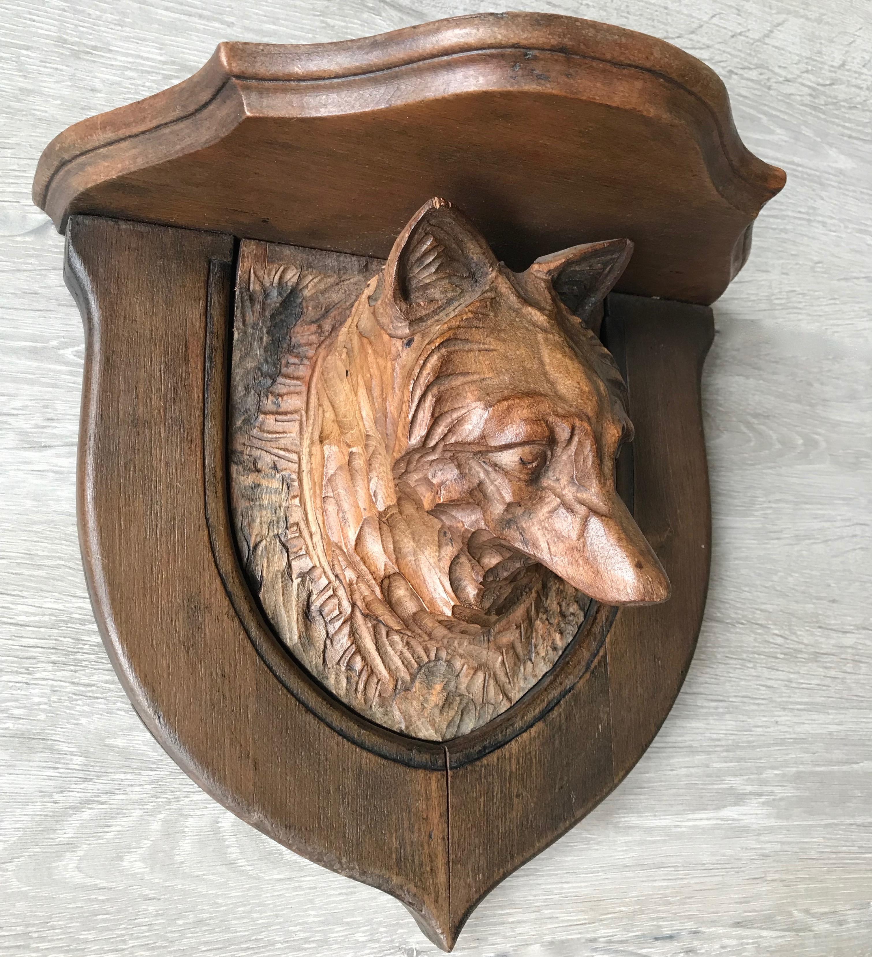 Rare and highly decorative, Black Forest wall bracket. 

This very well carved, fox wall bracket is another one of our recent, great finds. Wall brackets with sculptures of these beautiful wild animals are a rare find and to have found one of this