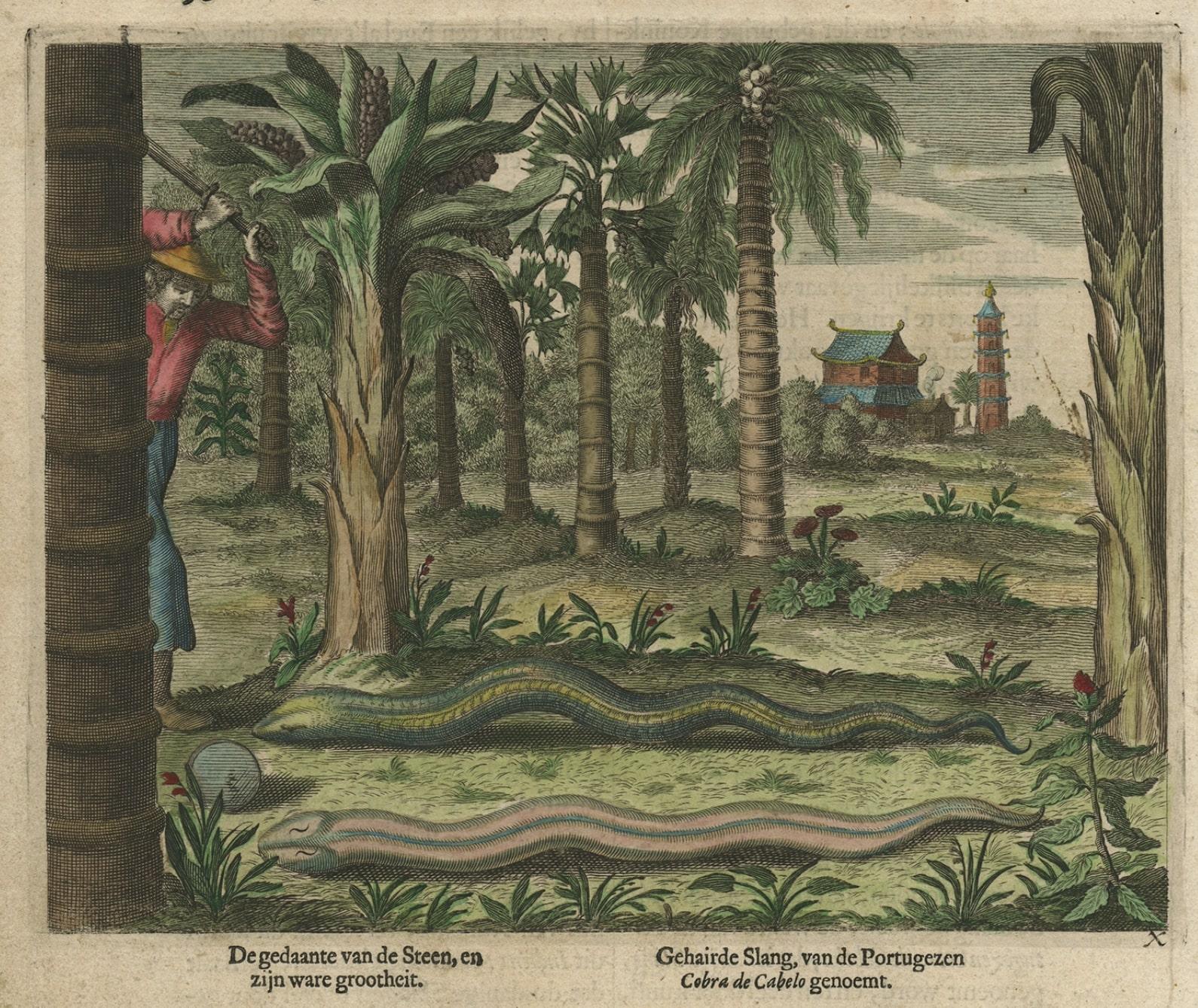 Antique Hand-Colored Engraving of Chinese Snakes,  a Temple and Pagoda, ca.1660 In Good Condition For Sale In Langweer, NL