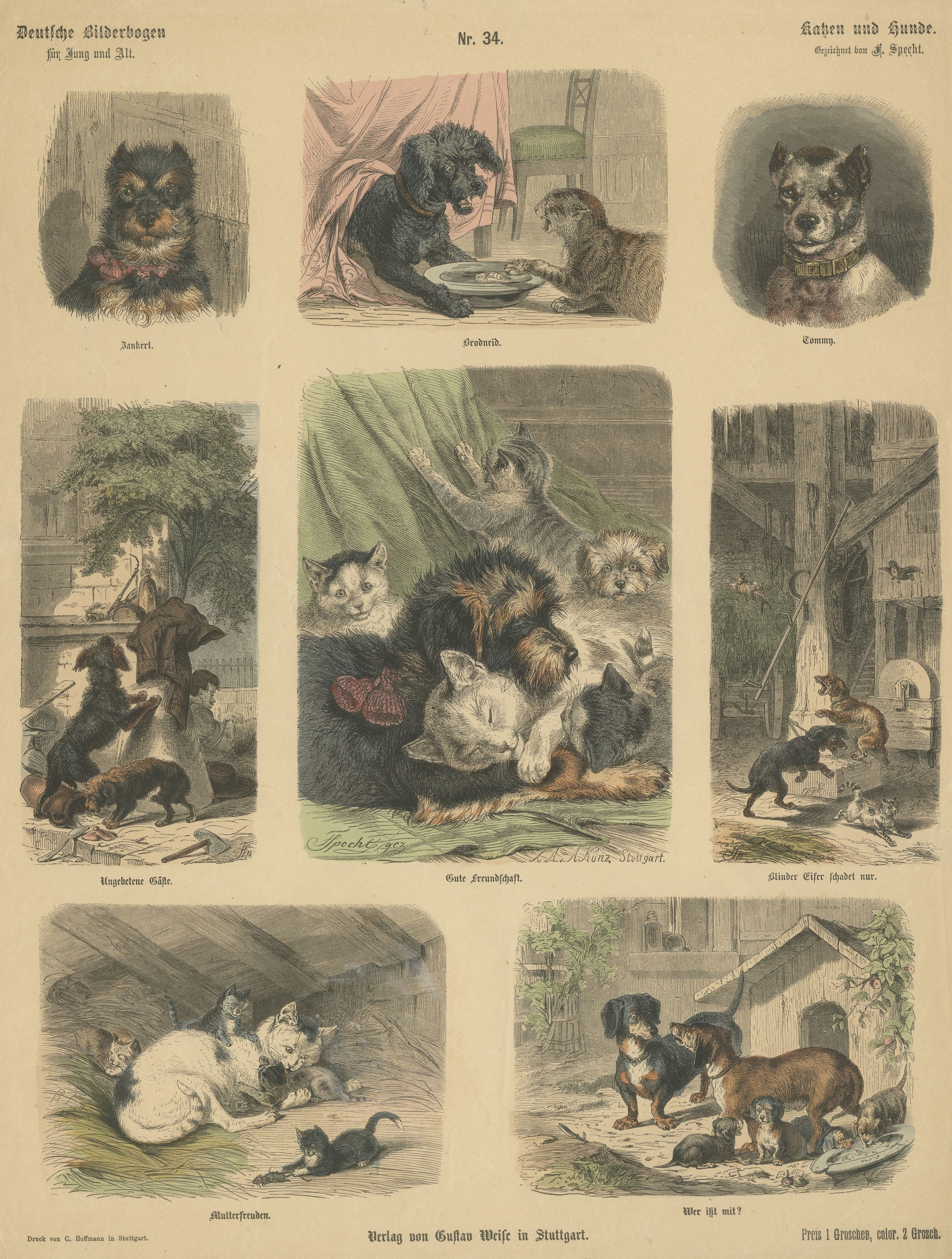Original antique print titled 'Katzen und Hunde'. Hand colored wood engraving with small illustrations of cats and dogs. This print originates from 'Deutsche Bilderbogen für Jung und Alt'. Published circa 1909.