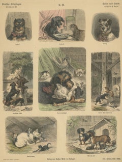 Antique Print of Cats and Dogs – Hand-Colored German Wood Engraving, c.1909