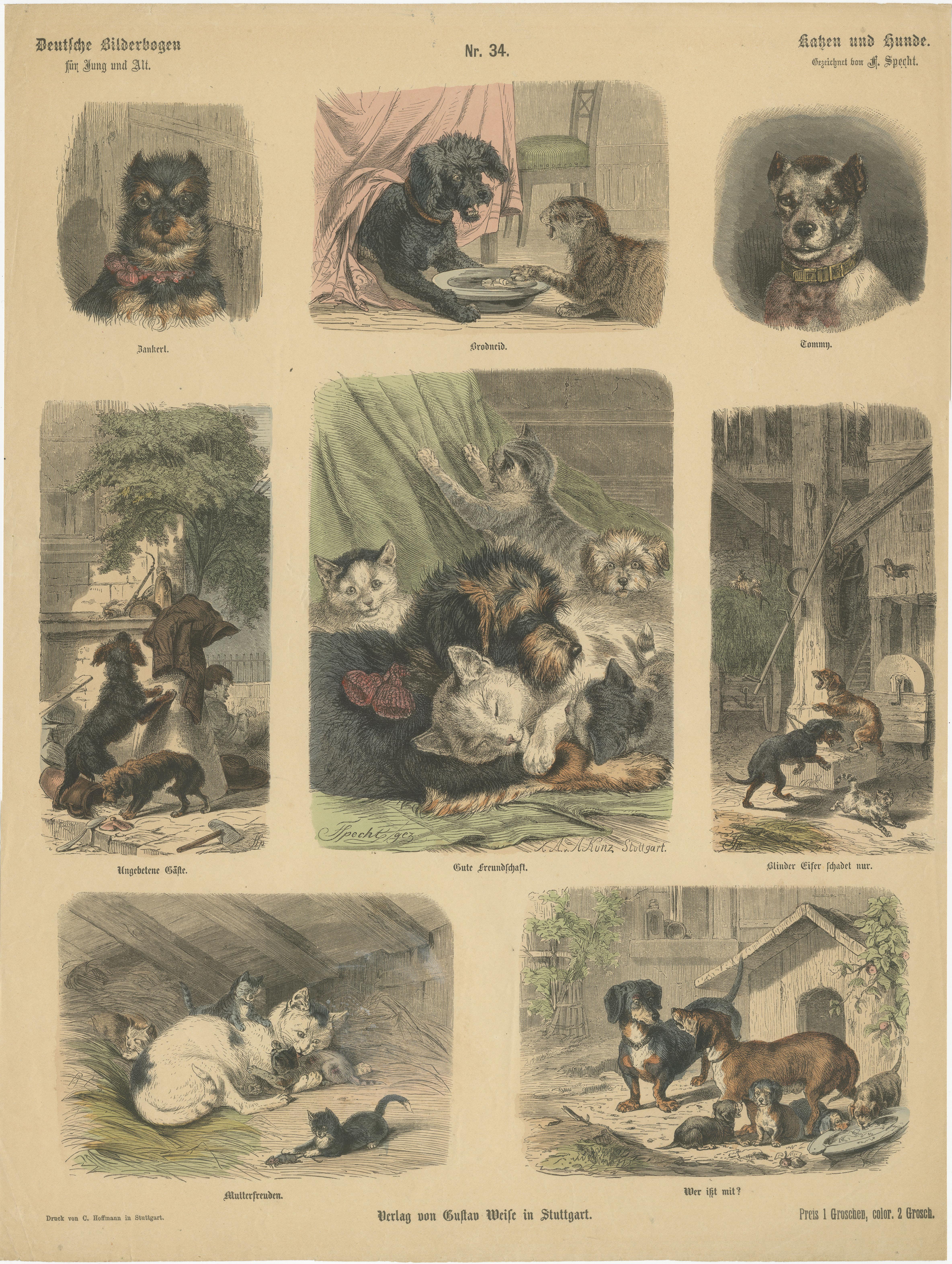 Antique Hand Colored Engraving of Various Cats and Dogs In Fair Condition For Sale In Langweer, NL