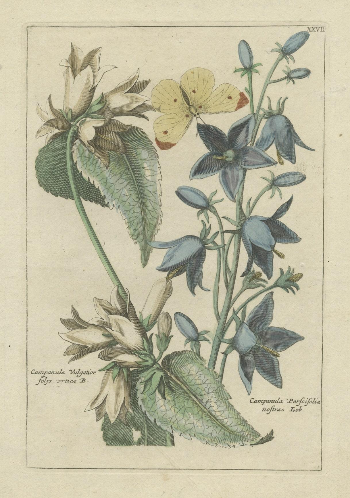 Papier Impression florale ancienne colorée à la main de plantes Campanula, 1794 en vente
