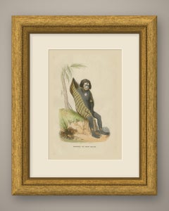 Antique Hand-Colored Portrait of a New Ireland Islander, Berghaus, 1854