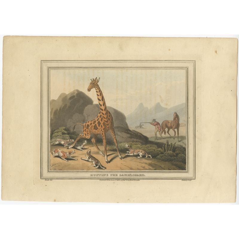 Antique print titled 'Hunting the Camelopard', the Giraffe was often called the camelopard. This print originates from Samuel Howitt's 'Foreign Field Sports'.

Artists and Engravers: Samuel Howitt was an English painter, illustrator and etcher of