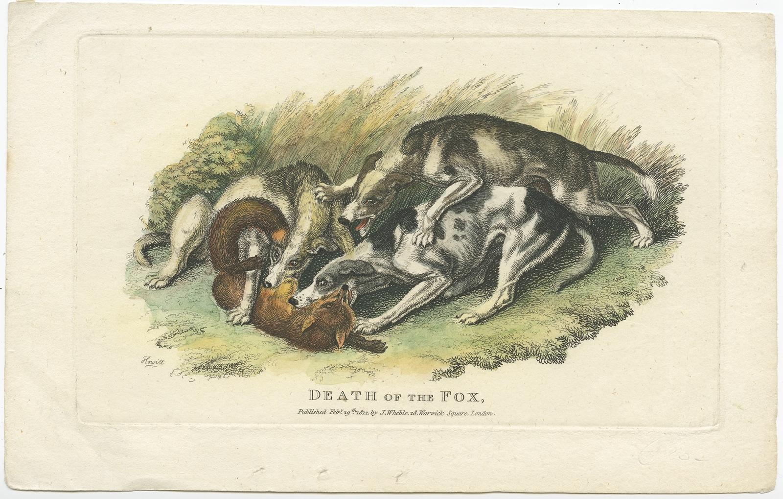 Antique print titled 'Death of the Fox'. 

This print depicts a hunting scene with dogs and a fox. Published by J. Wheble, 1812.

Artists and Engravers: Engraved by Howitt. 

Condition: Very good, please study image carefully.