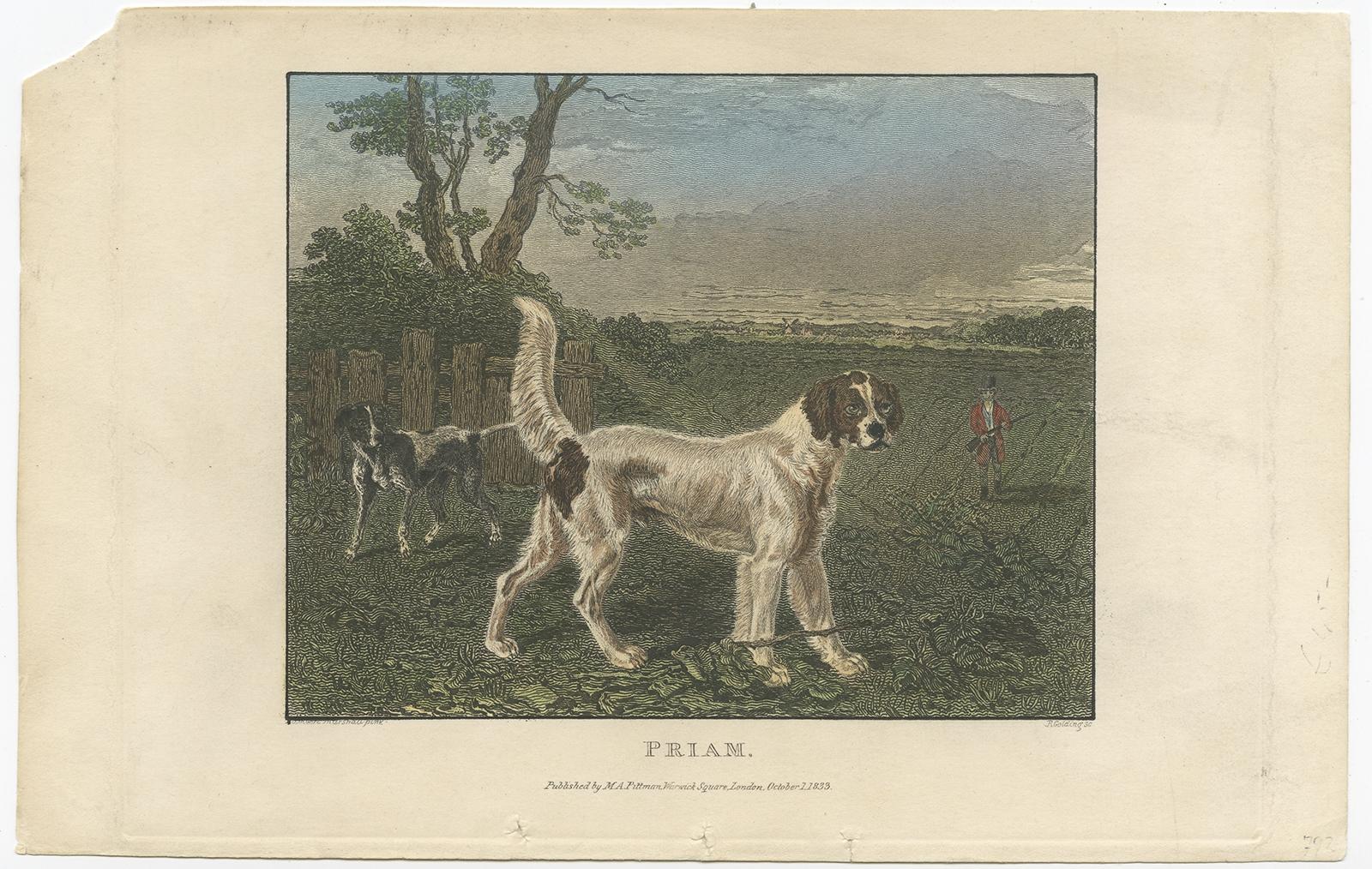 Antique print titled 'Priam'. 

This print depicts dogs and a hunting scene. Published by M.A. Pittman, 1833.

Artists and Engravers: Engraved by R. Golding. 

Condition: Very good, upper left corner missing. Please study image carefully.