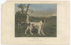 Antique Hand-Coloured Print of Dogs in a Hunting Scene, 1833