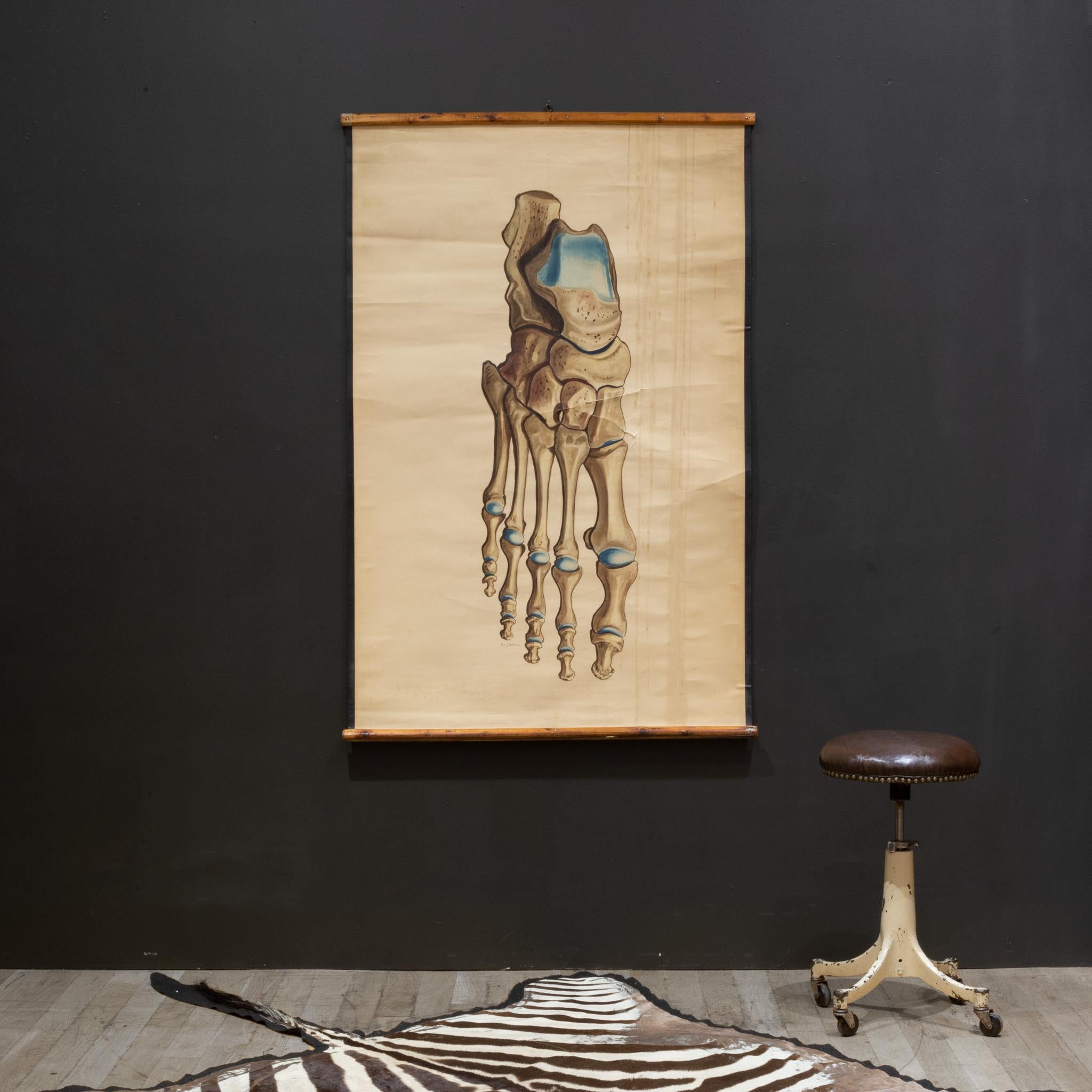 ABOUT

This piece can be rolled and shipped parcel. Please contact us for a shipping quote: 
S16 Home San Francisco. 

An antique scroll of a foot used in a medical teaching classroom mounted a thick dowels. Signed by artist. Original writing on the