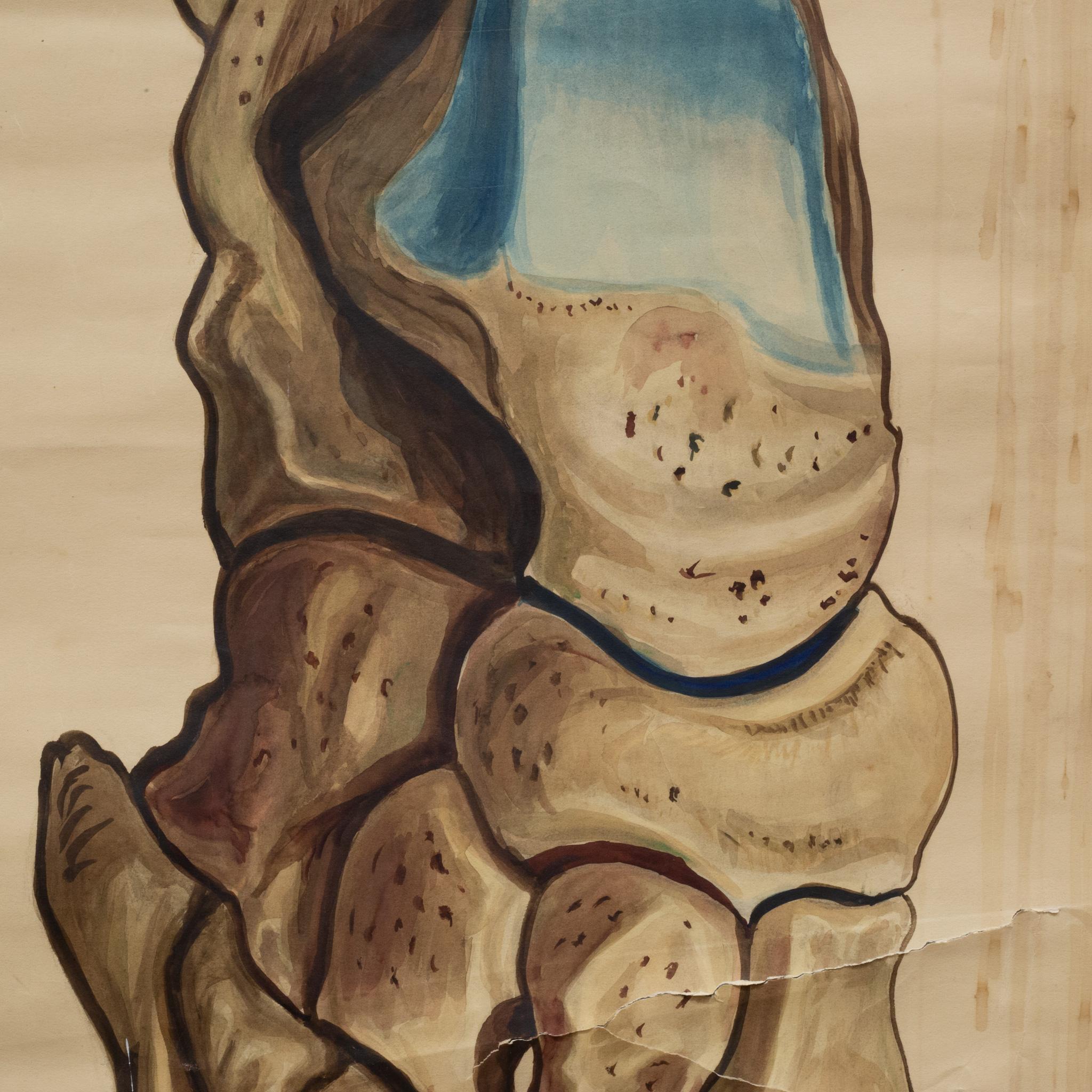 20th Century Antique Medical Class Anatomy Scroll of Foot c.1920-1940 (FREE SHIPPING) For Sale