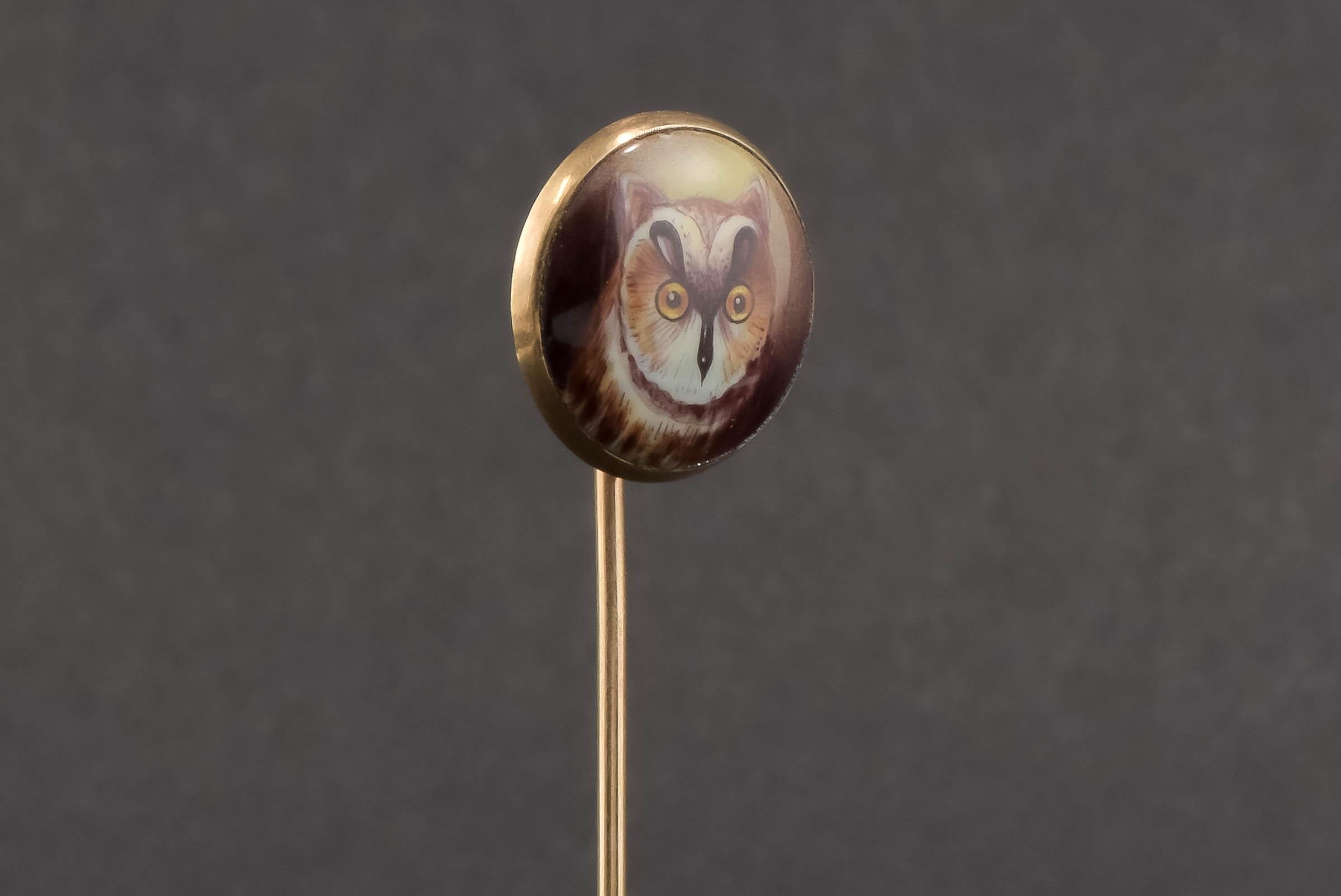 Antique Hand Painted Owl Portrait Stick Pin - Cravat Pin in Gold For Sale 1