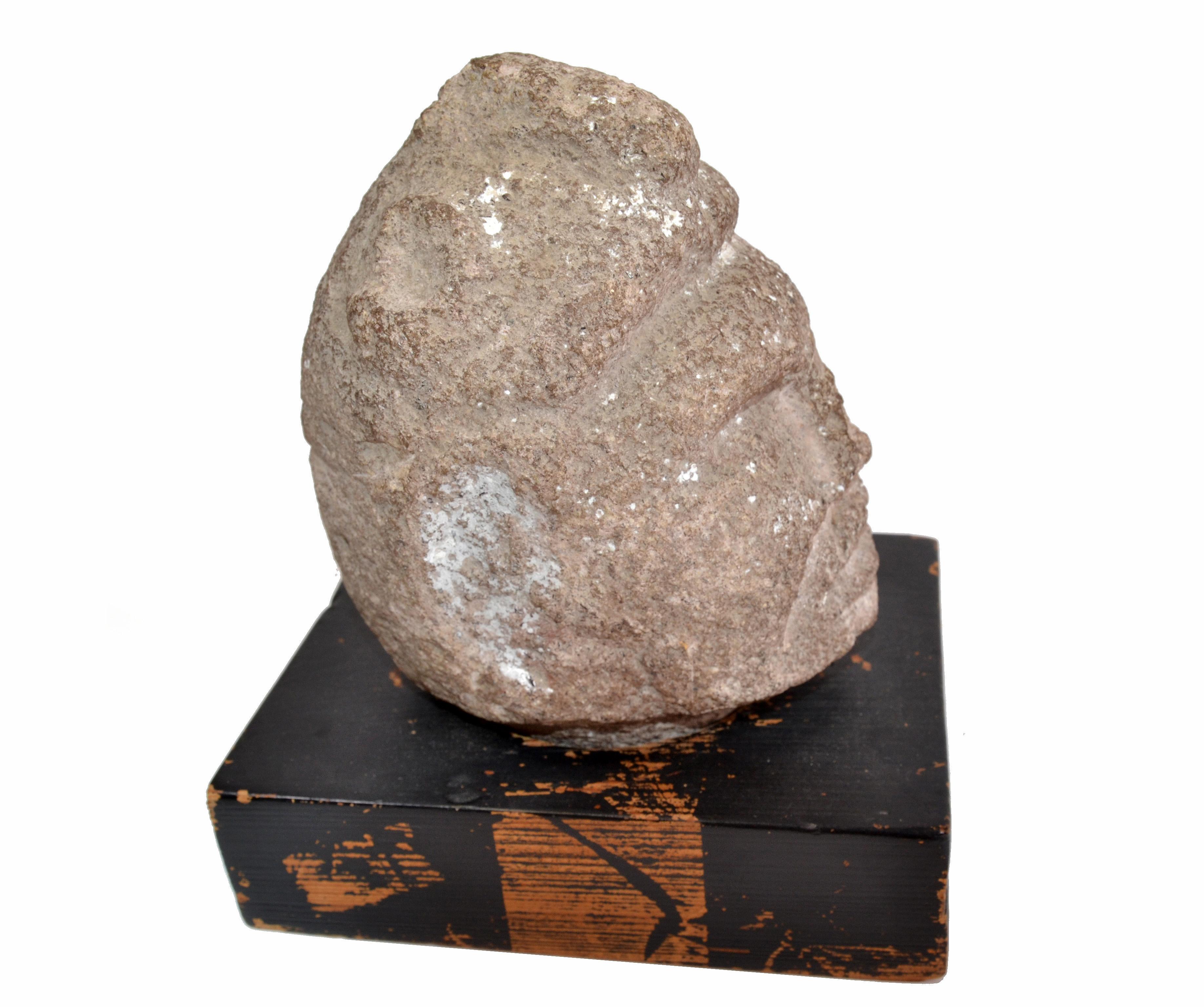 Tête antique en pierre sculptée à la main, présentée sur un socle en bois sculpté à la main.
La tête mesure : Longueur 5 pouces x 4 pouces de profondeur x 8 pouces de hauteur.
       
O-599-335