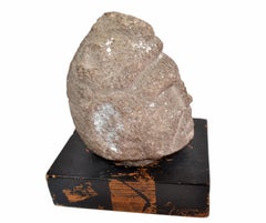 Antique Hand Sculpted Stone Head Sculpture on Formfit Hand Carved Wooden Base