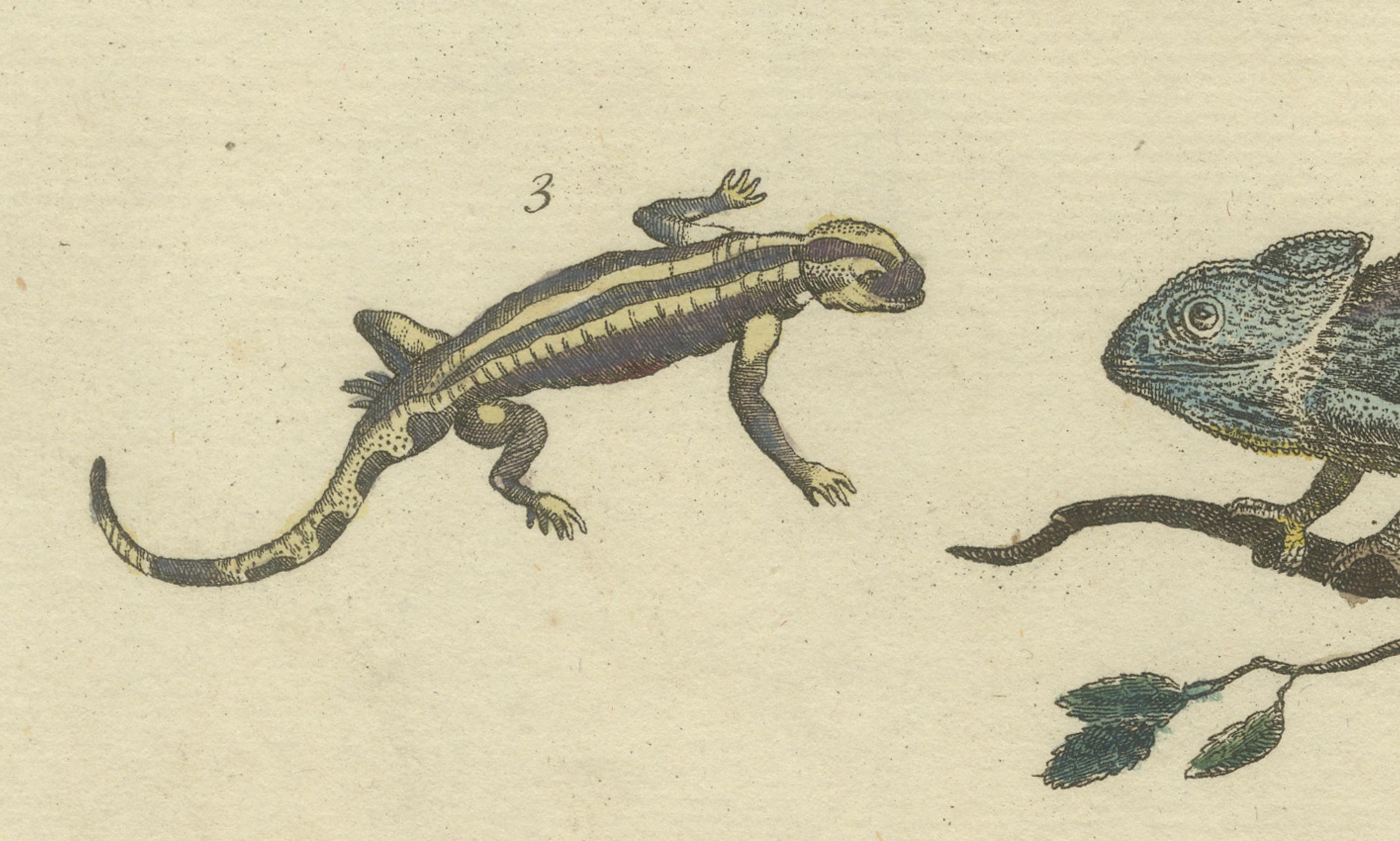 Antike handkolorierte Gravur von Lizards, Iguana, Chameleon und Salamander, 1800 im Zustand „Gut“ im Angebot in Langweer, NL