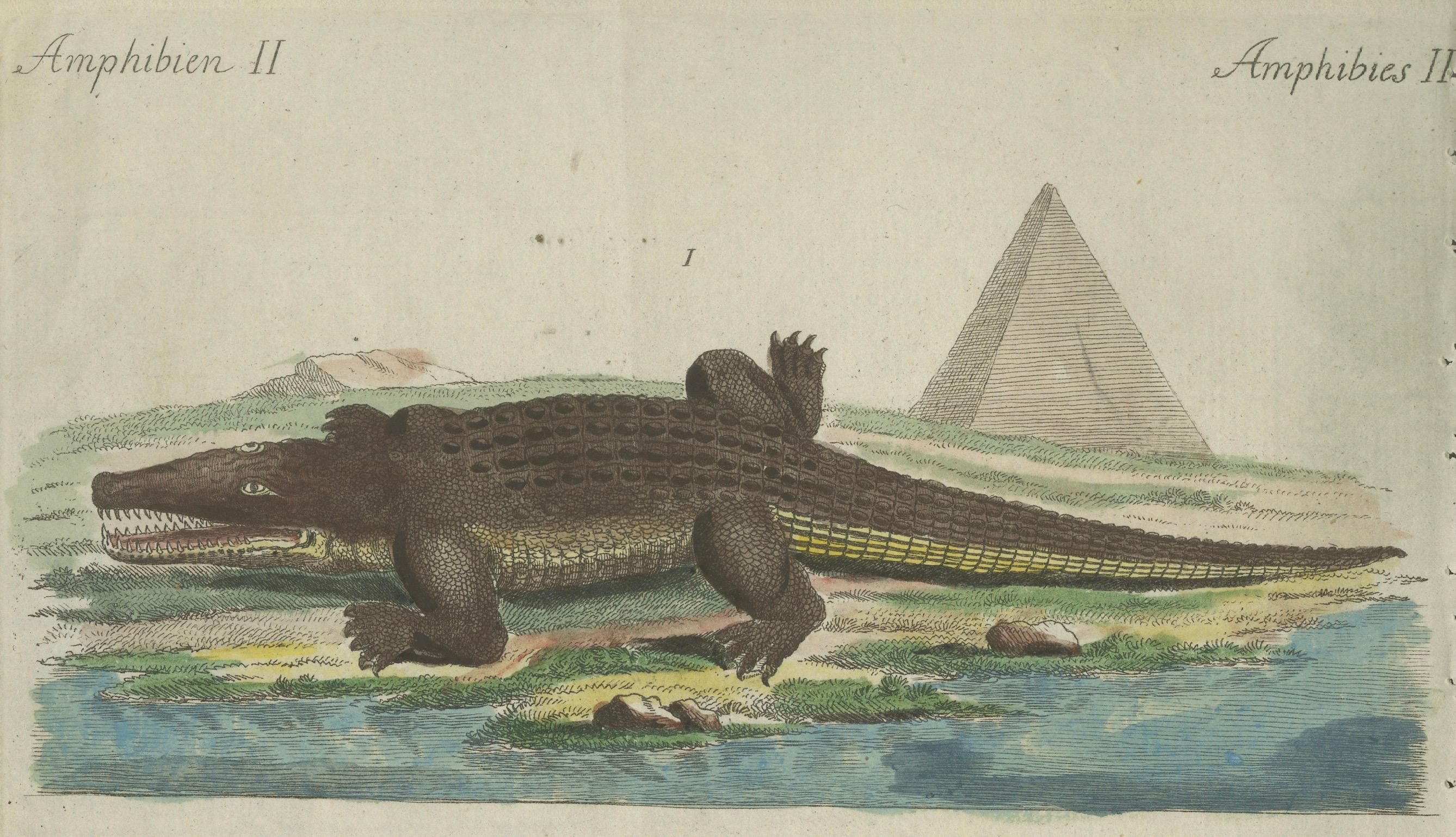Inizio XIX secolo Antica incisione colorata a mano di coccodrilli del Nilo e della palude, 1800 ca. in vendita