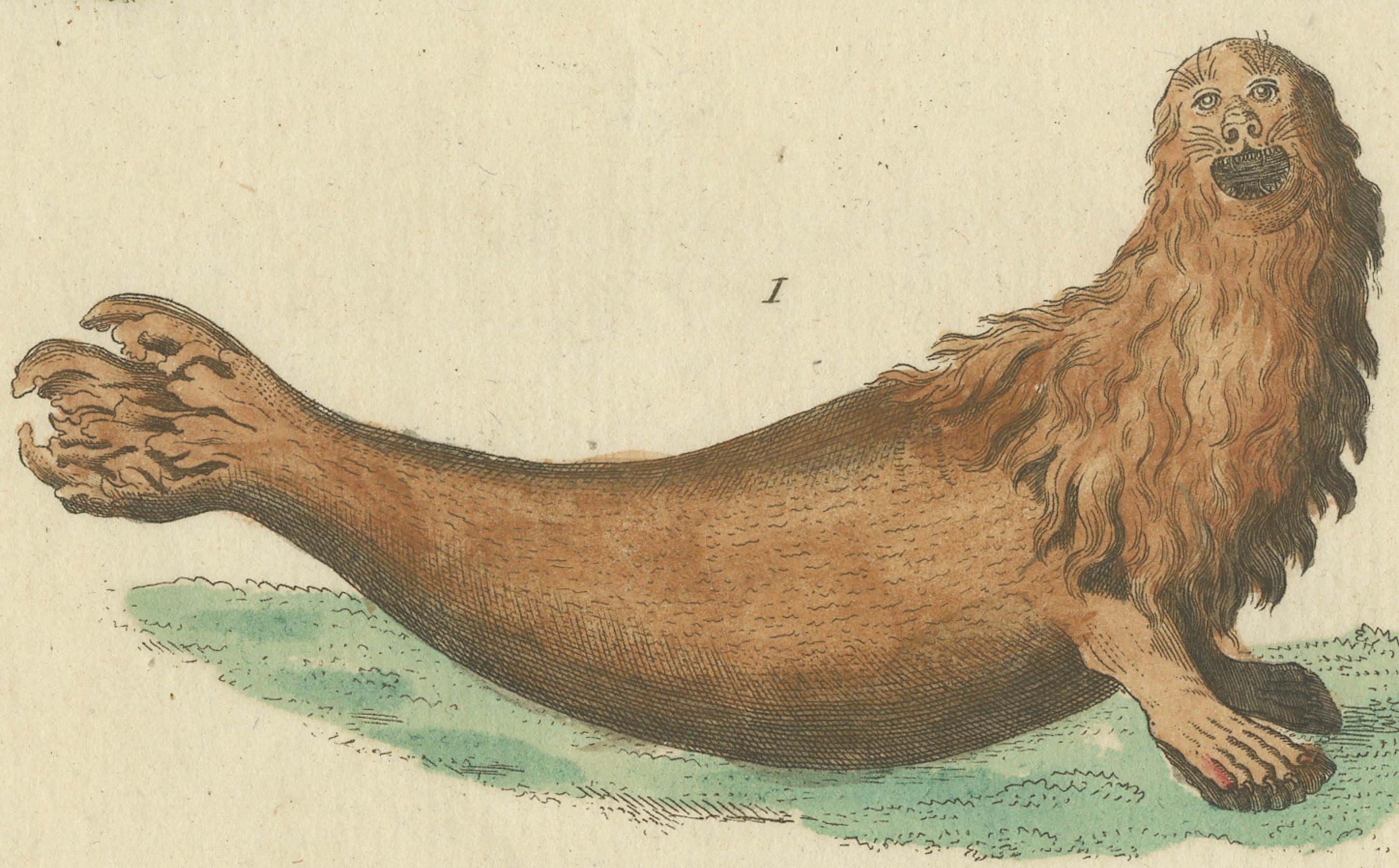 Early 19th Century Antique Handcolored Engraving of Seals and Amphibious Creatures, c.1800 For Sale