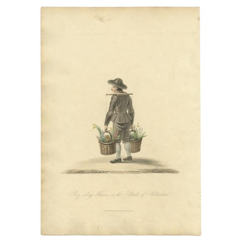 Antique costume print titled 'Boy selling Flowers'. Old costume print depicting a boy selling flowers in the streets of Rotterdam. This print originates from 'The Costume of the Netherlands displayed in thirty coloured engravings'. 

Artists and