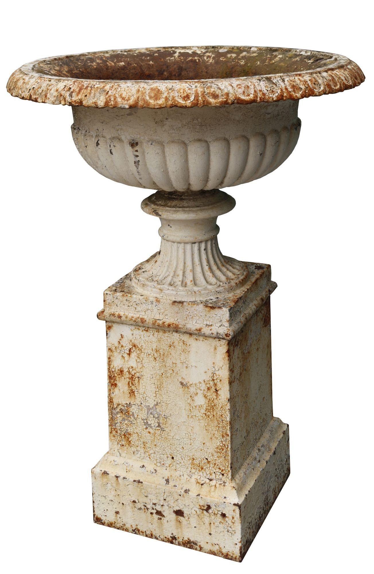 Antique Handyside cast iron tazza urn. A beautiful, shallow urn on an elegant pedestal. This would make a brilliant statement piece in any garden.
 
Additional Dimensions
Base
38.5 cm x 38.5 cm.