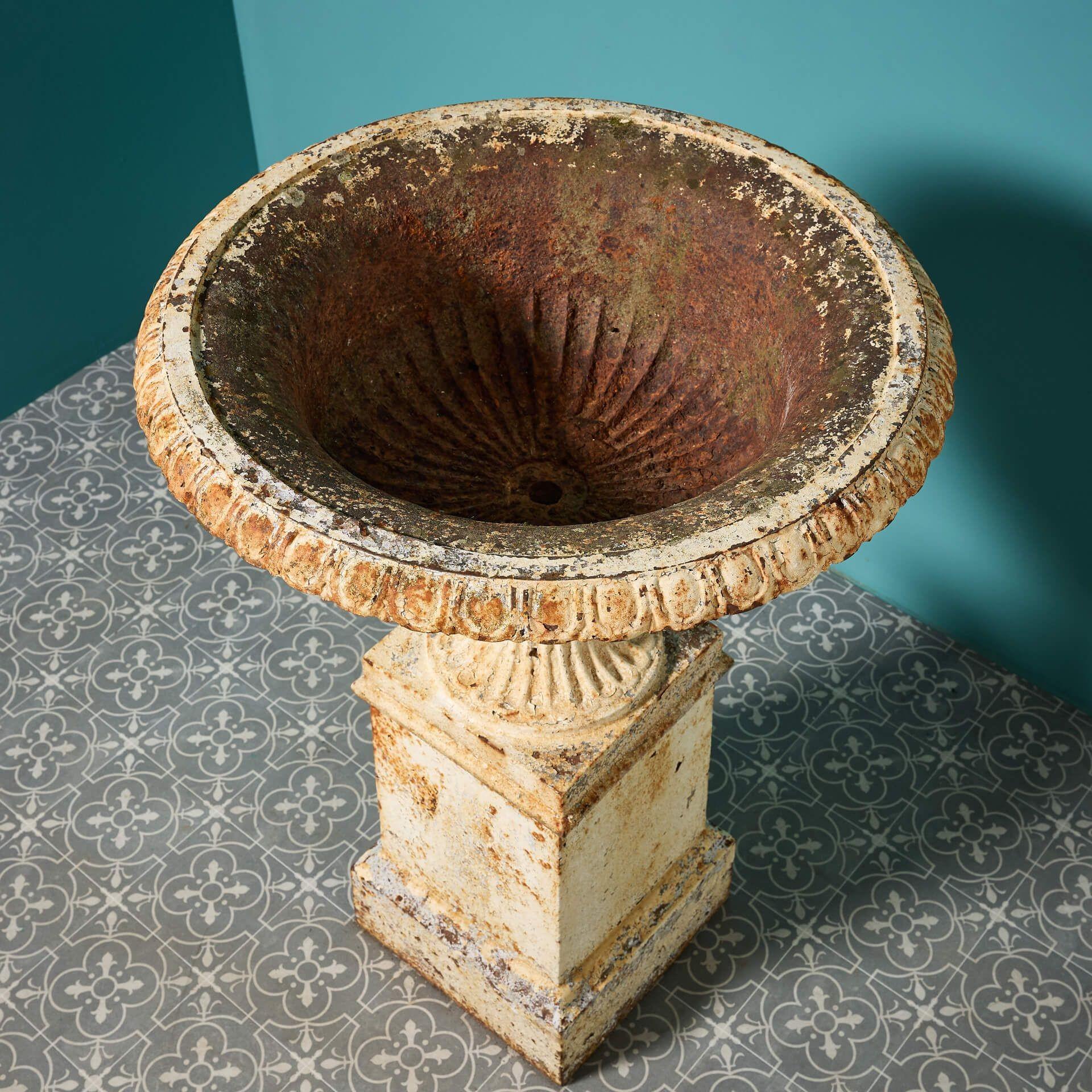 Urna antigua Handyside de hierro fundido Tazza en Bastante bueno estado para la venta en Wormelow, Herefordshire