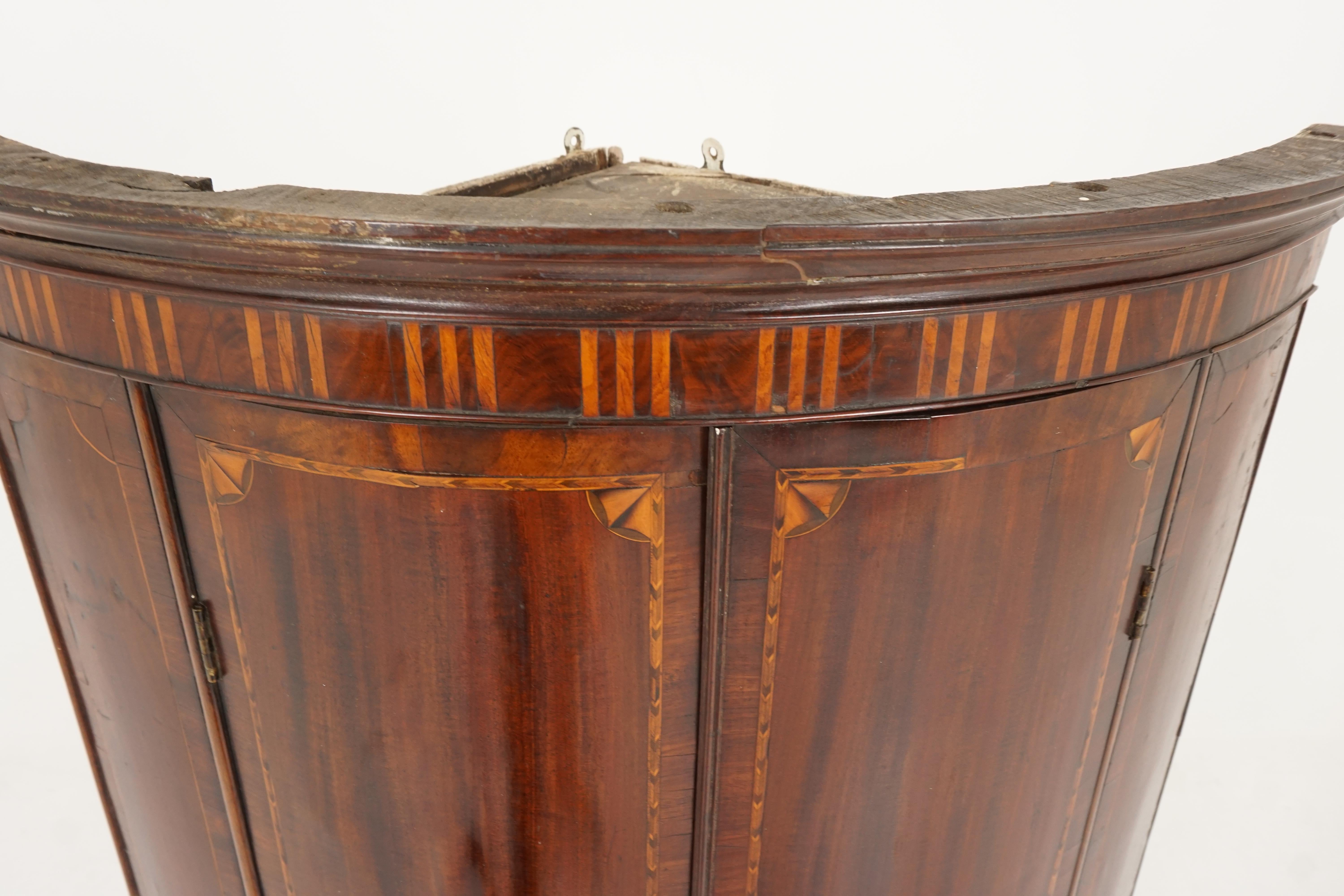 Scottish Antique Hanging Corner Cabinet, Inlaid Walnut, Bow Front, Scotland 1810, H138 For Sale