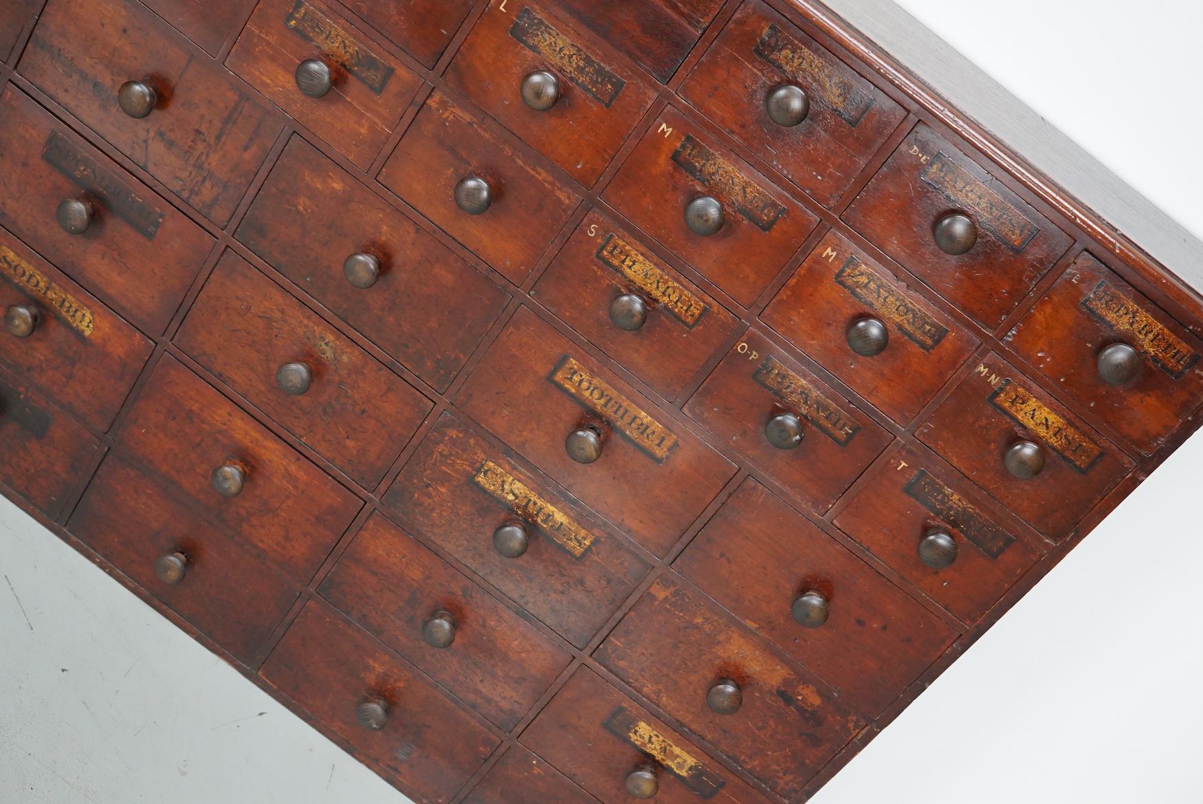 Antique Hardwood Apothecary Cabinet / Bank of Drawers, England, 19th Century For Sale 6