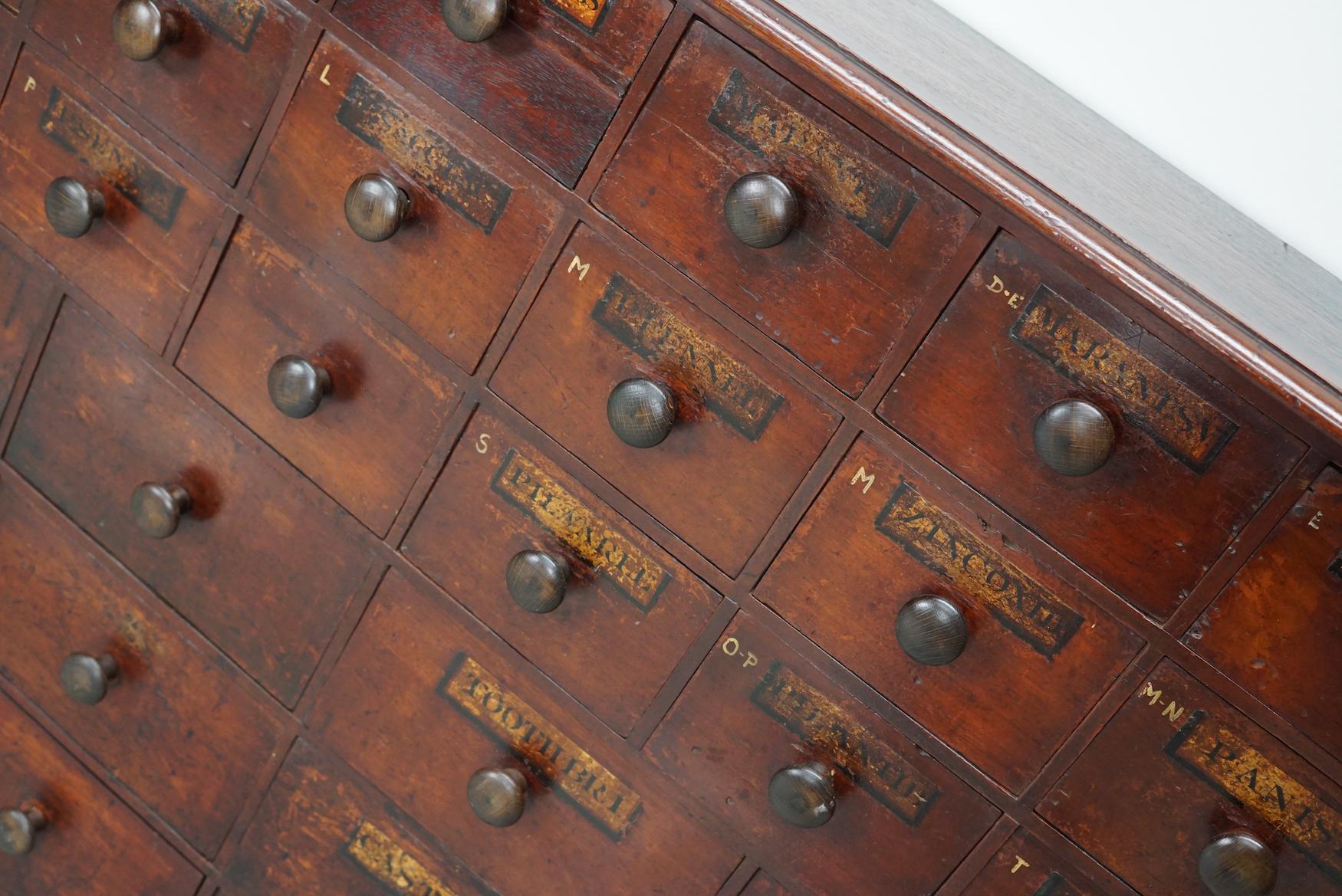 Antique Hardwood Apothecary Cabinet / Bank of Drawers, England, 19th Century For Sale 11