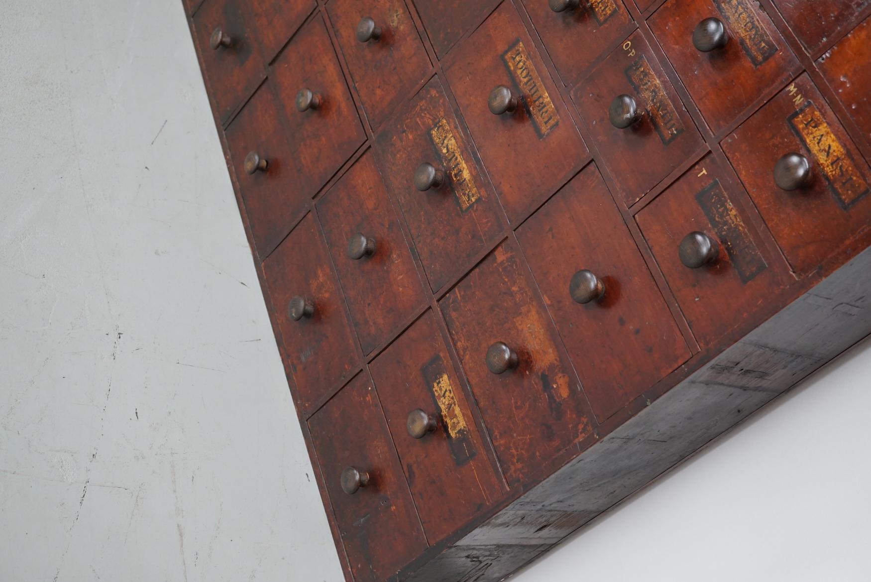 Antique Hardwood Apothecary Cabinet / Bank of Drawers, England, 19th Century For Sale 15