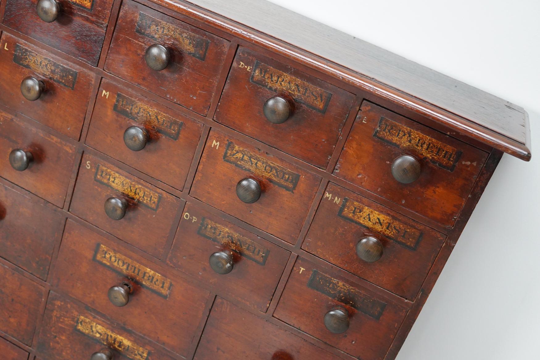 British Antique Hardwood Apothecary Cabinet / Bank of Drawers, England, 19th Century For Sale