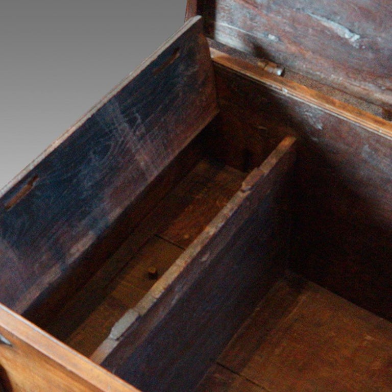 Antique Hardwood Merchant Chest For Sale at 1stdibs