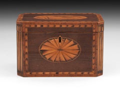 Antique Harewood Conch Shell Tea Caddy, 18th Century