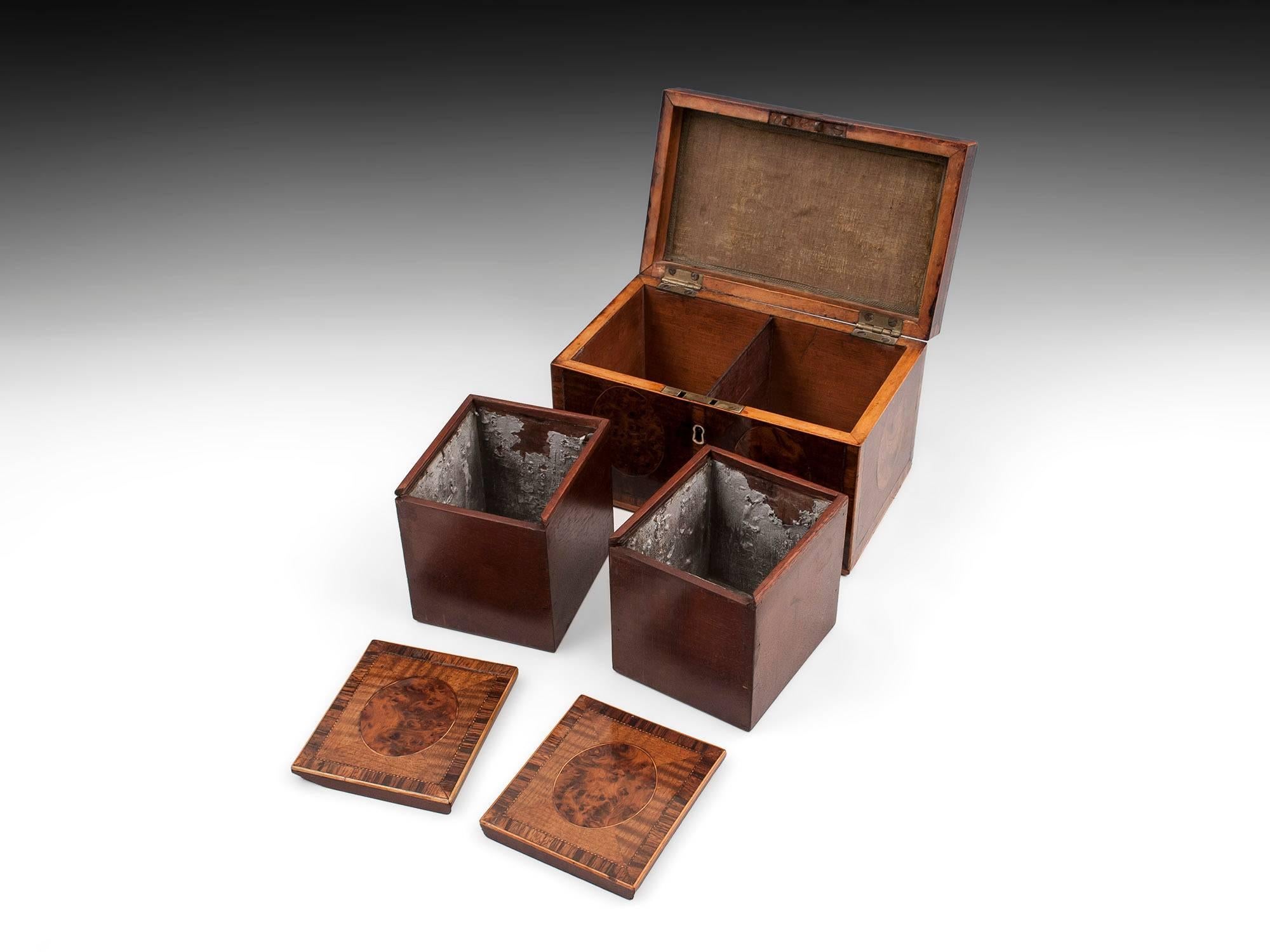 Antique Harewood Tea Chest with Burr Yew Medallions, 18th Century at