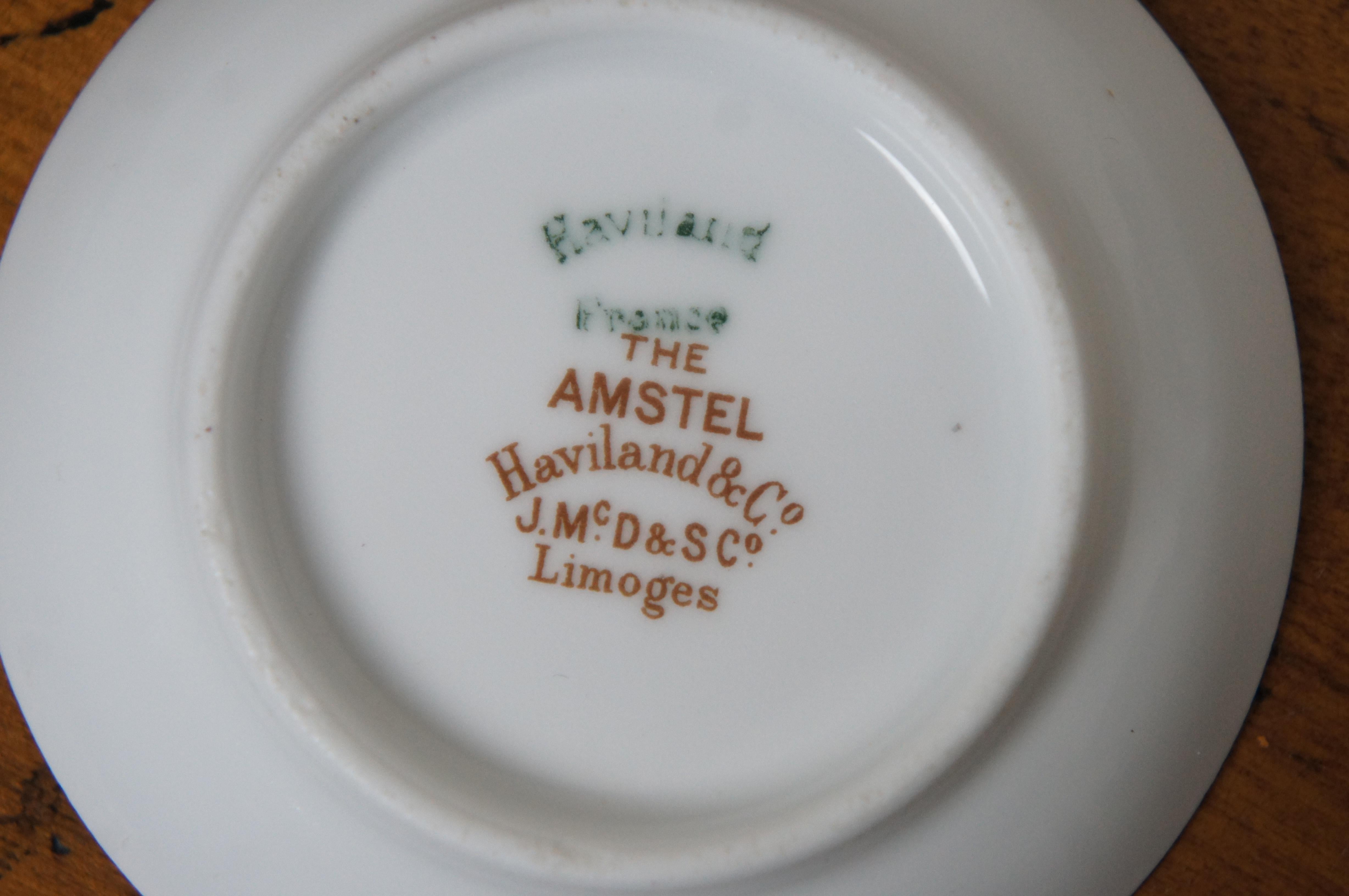 Antique Haviland & Co Limoges 106 Pc Amstel Schleiger 497A Dinner Service China  For Sale 7