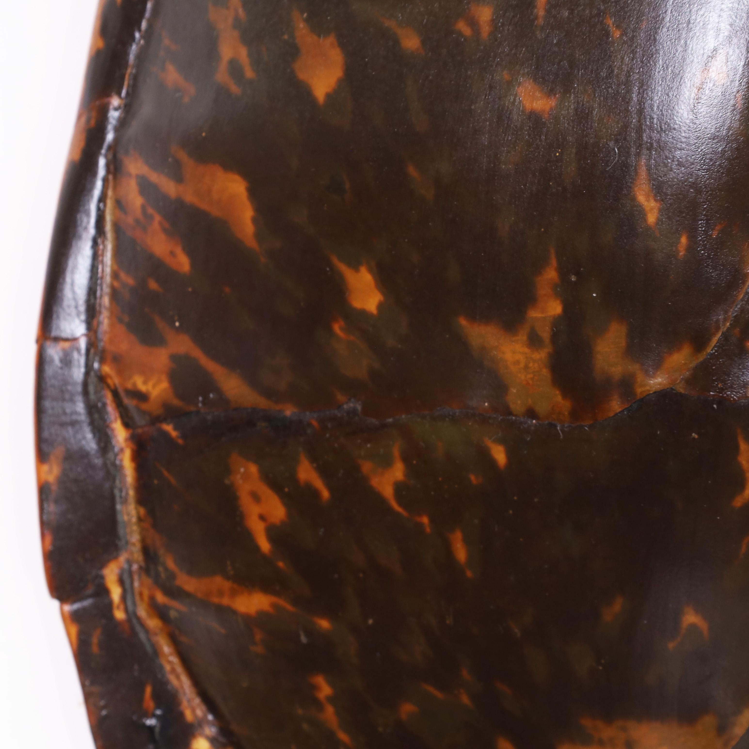Caraibico Antico guscio o carapace di tartaruga Hawksbill