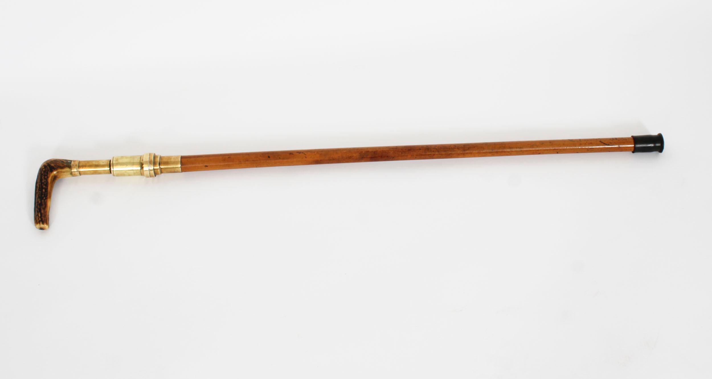 English Antique Helixophile's Novelty Walking Stick Corkscrew Cane 19th Century For Sale