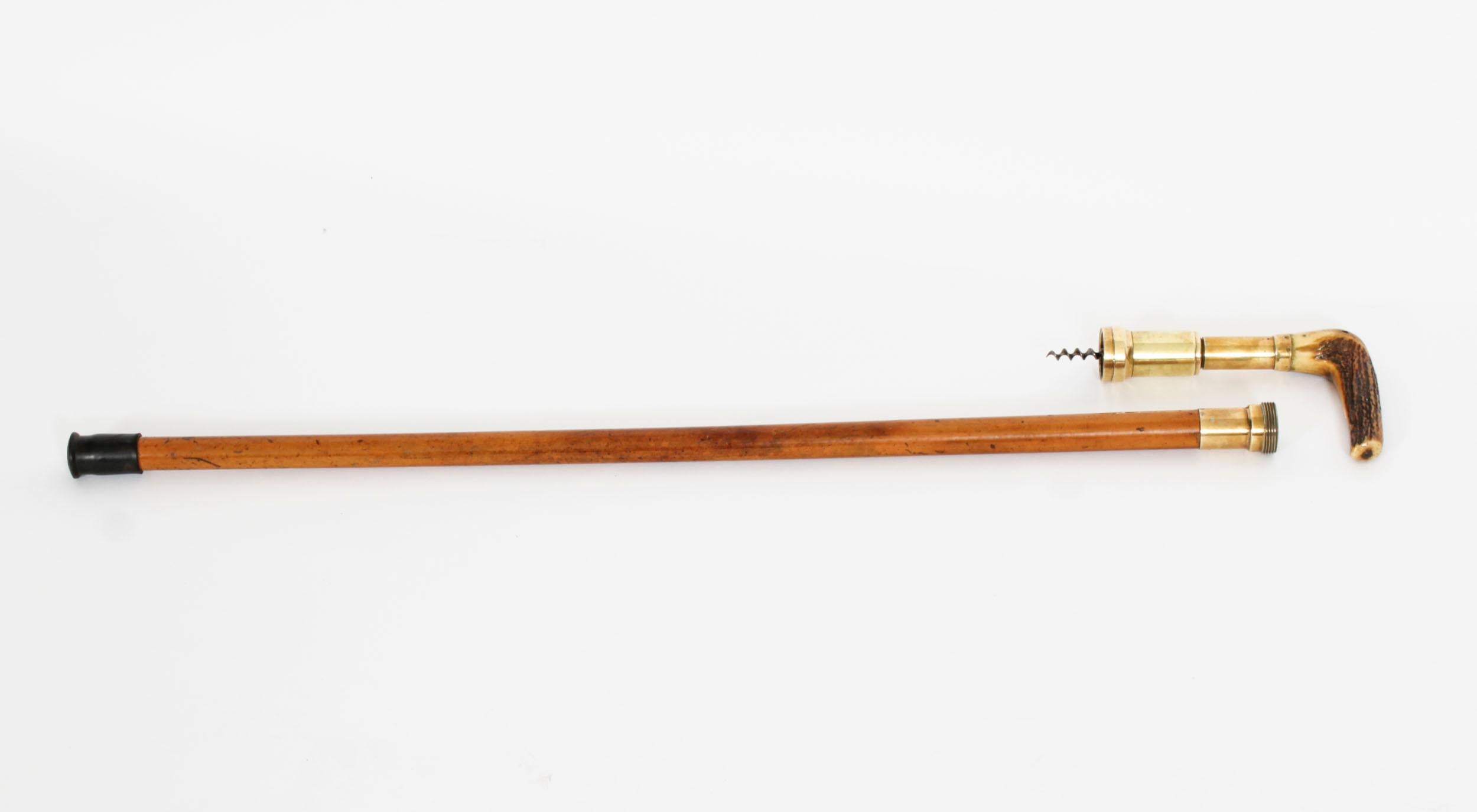 Late 19th Century Antique Helixophile's Novelty Walking Stick Corkscrew Cane 19th Century For Sale