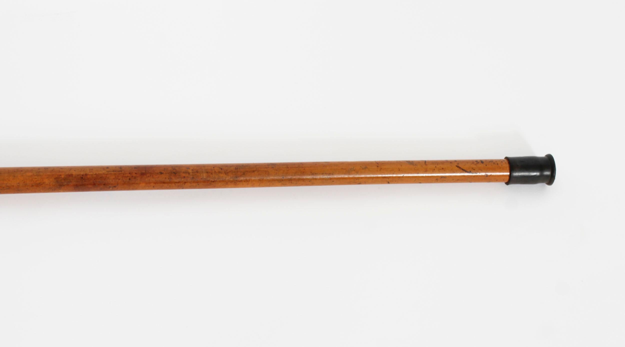 Antique Helixophile's Novelty Walking Stick Corkscrew Cane 19th Century For Sale 1