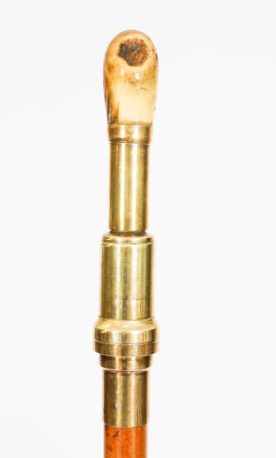Antique Helixophile's Novelty Walking Stick Corkscrew Cane 19th Century For Sale 2